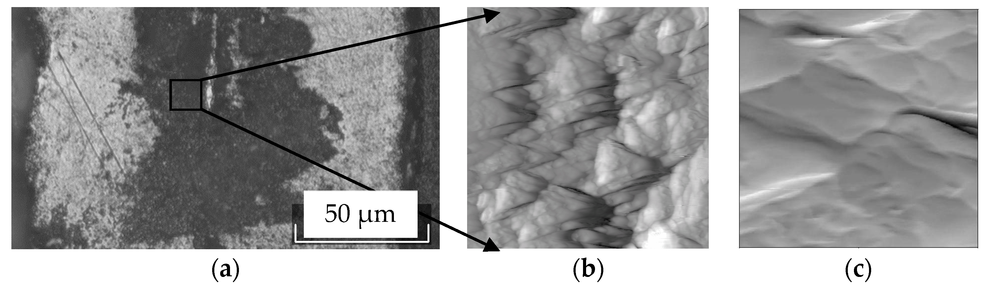 Coatings 08 00442 g003 550