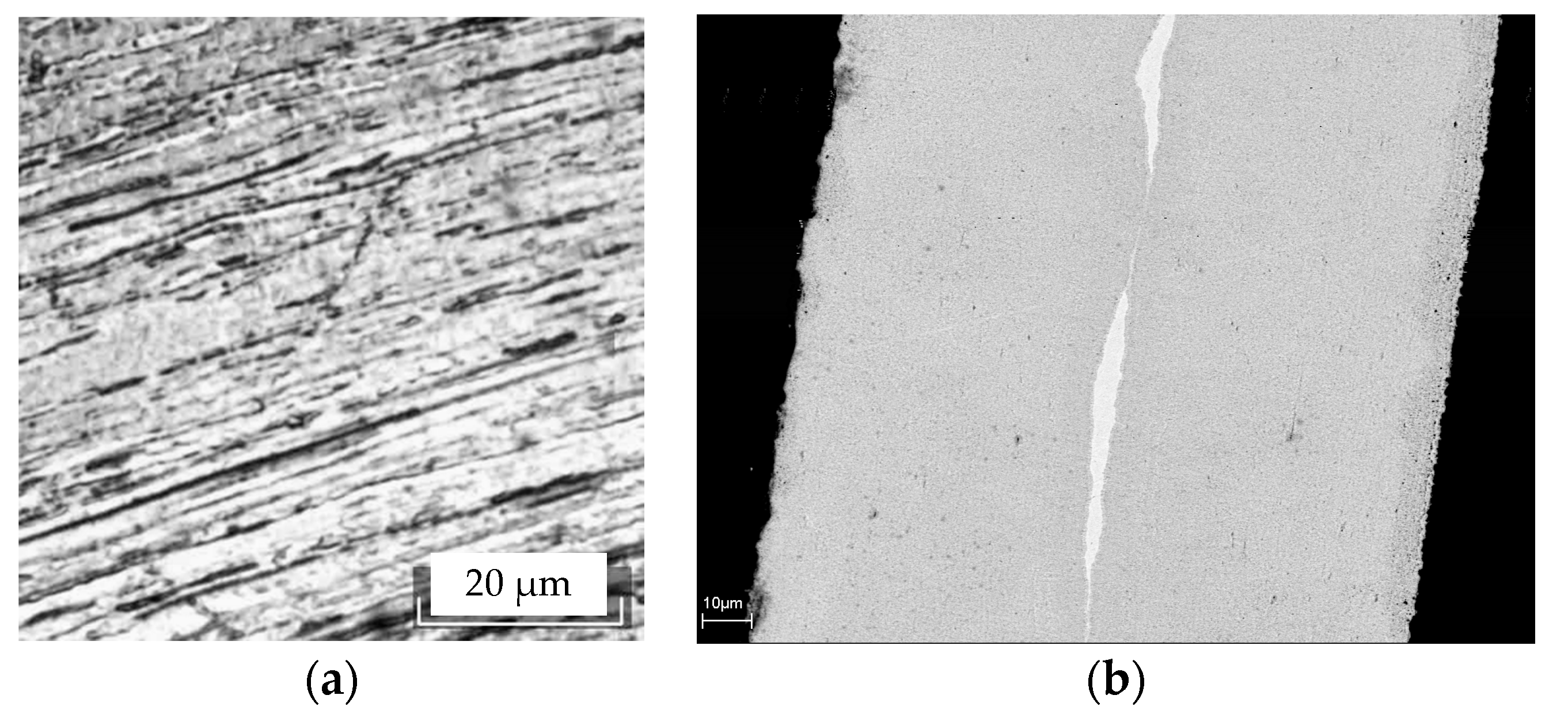 Coatings 08 00442 g004 550