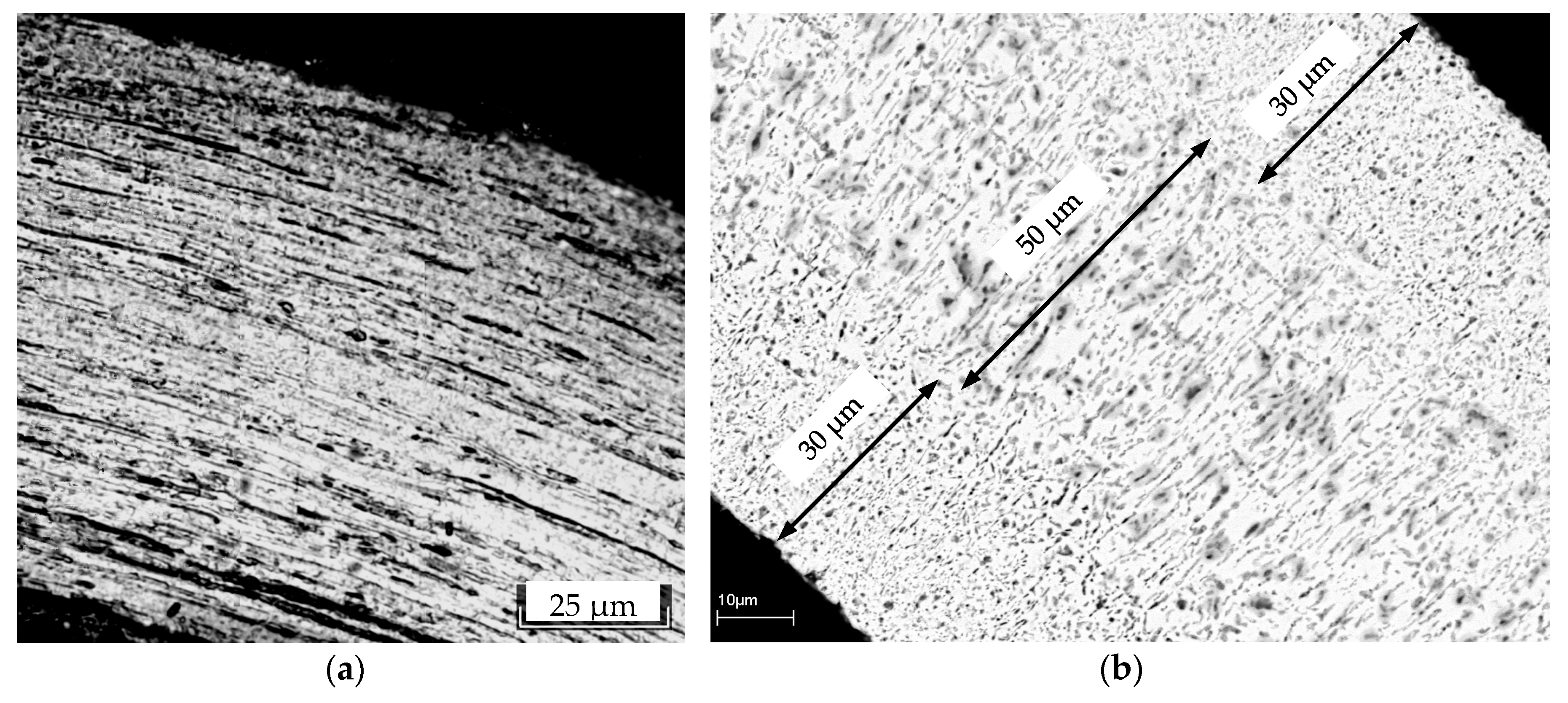 Coatings 08 00442 g005 550