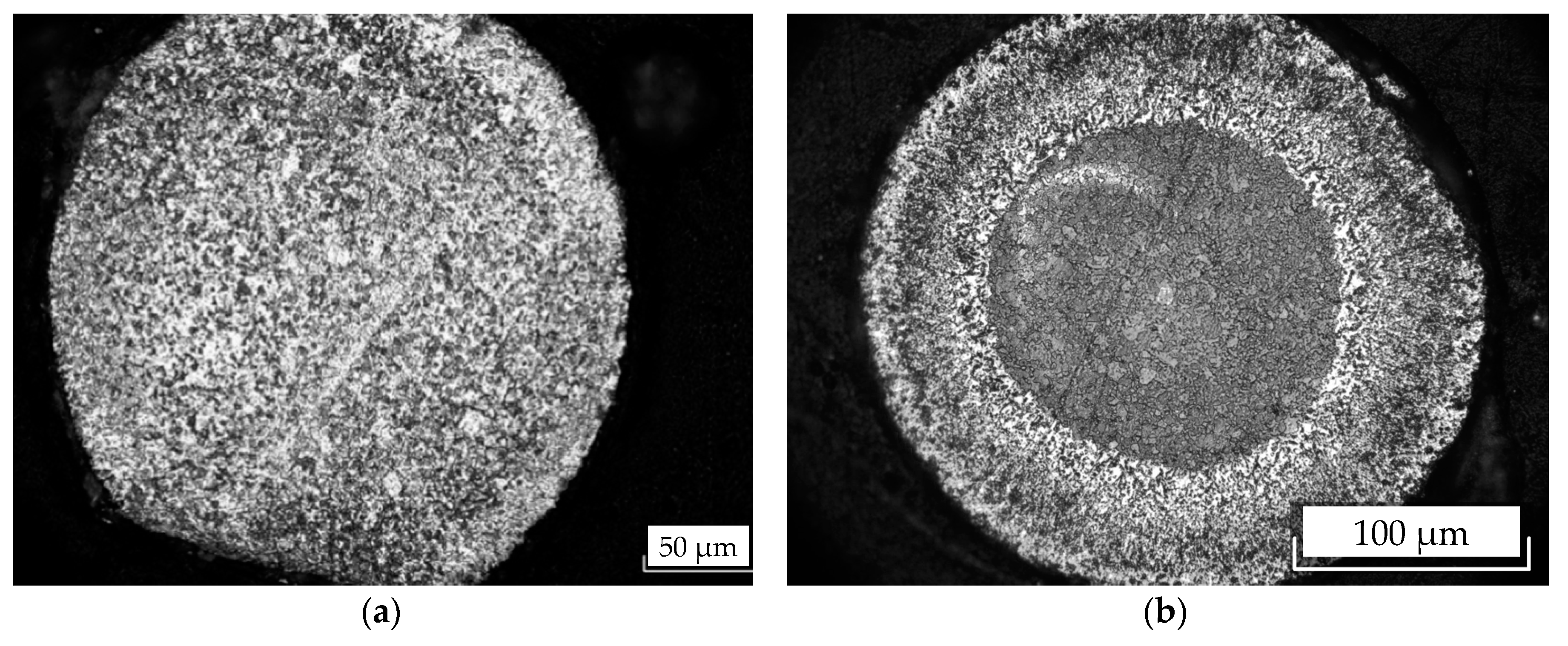 Coatings 08 00442 g006 550