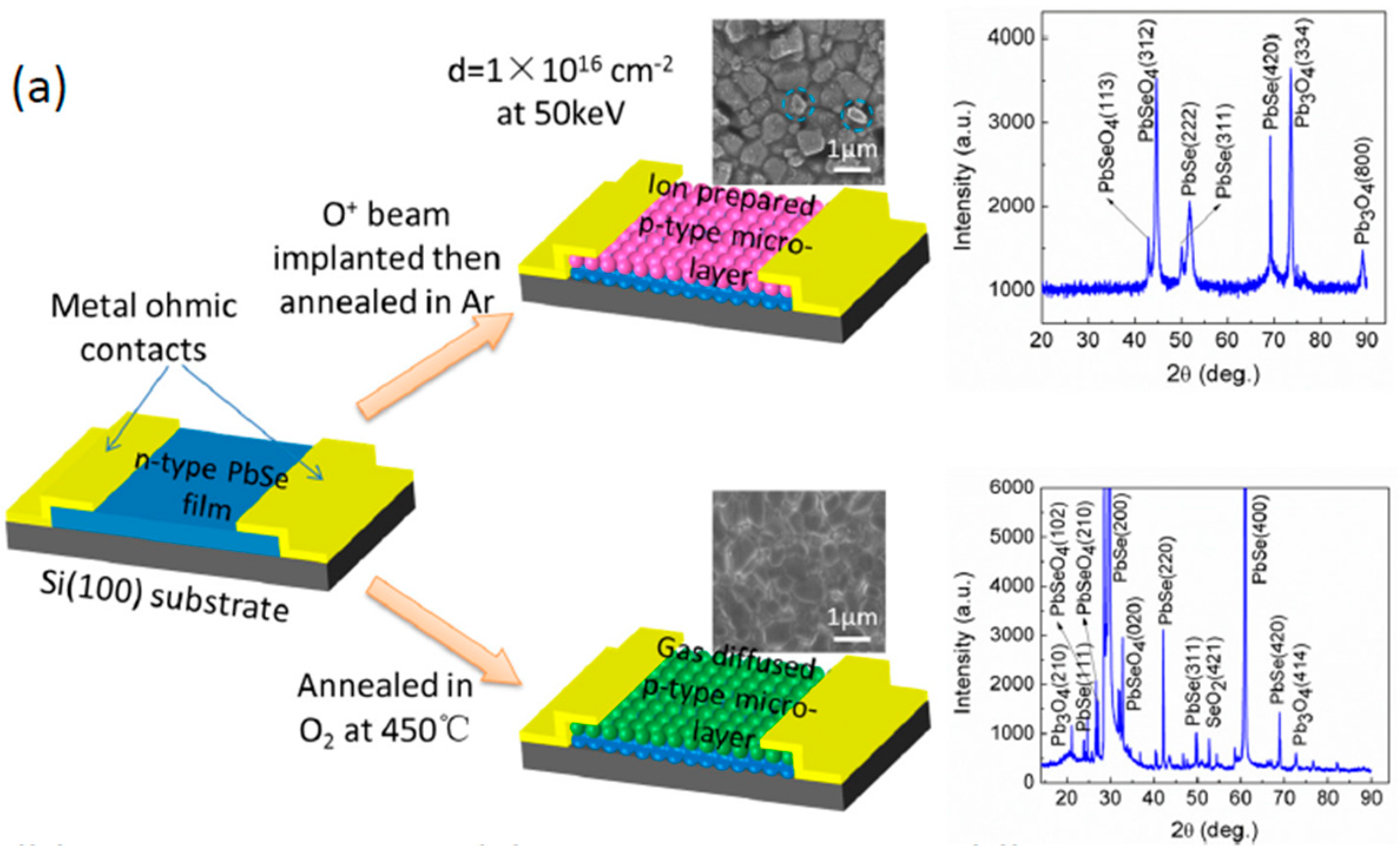 Coatings 08 00444 g013a