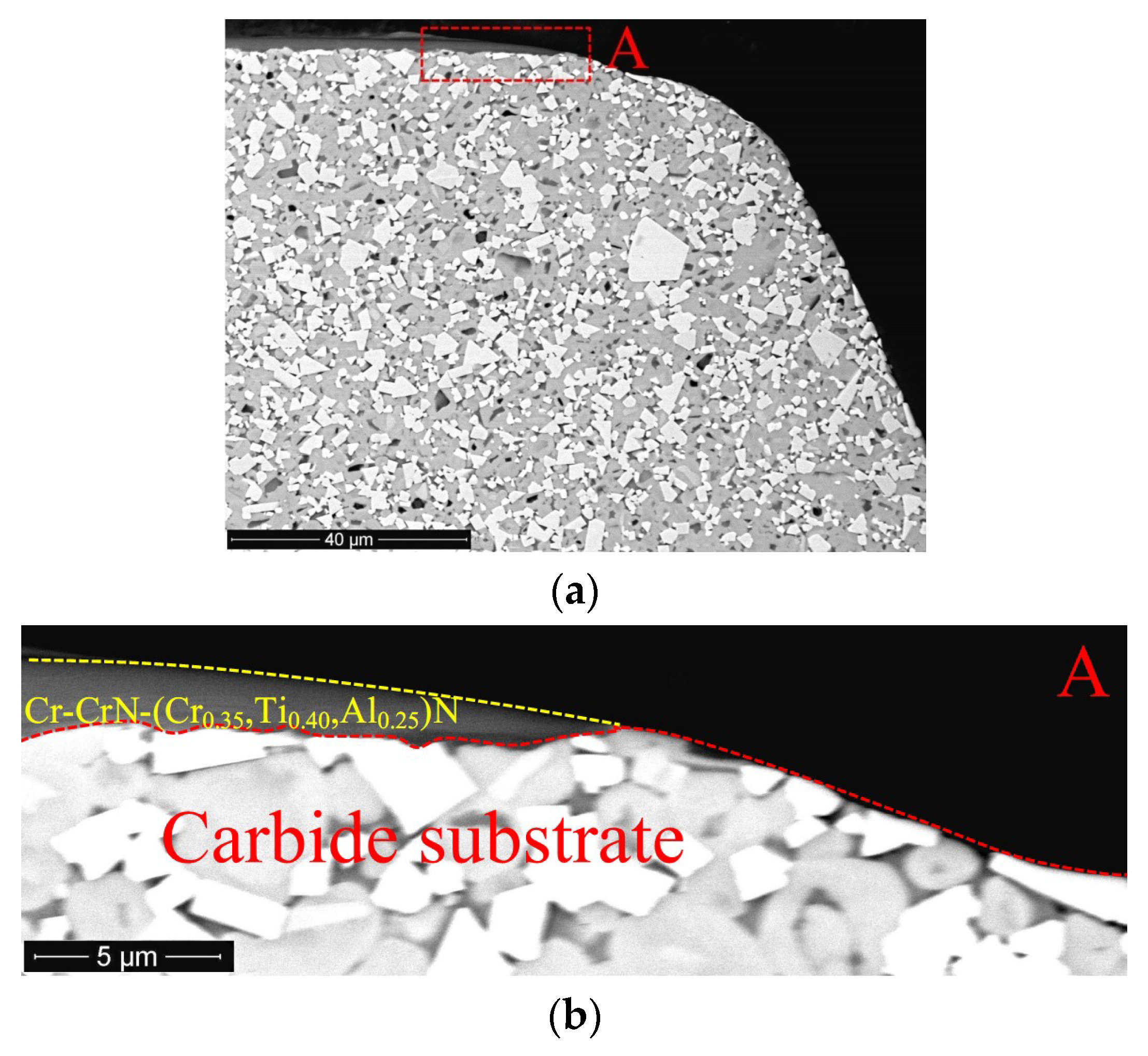 Coatings 08 00447 g011 Coatings 08 00447 g011