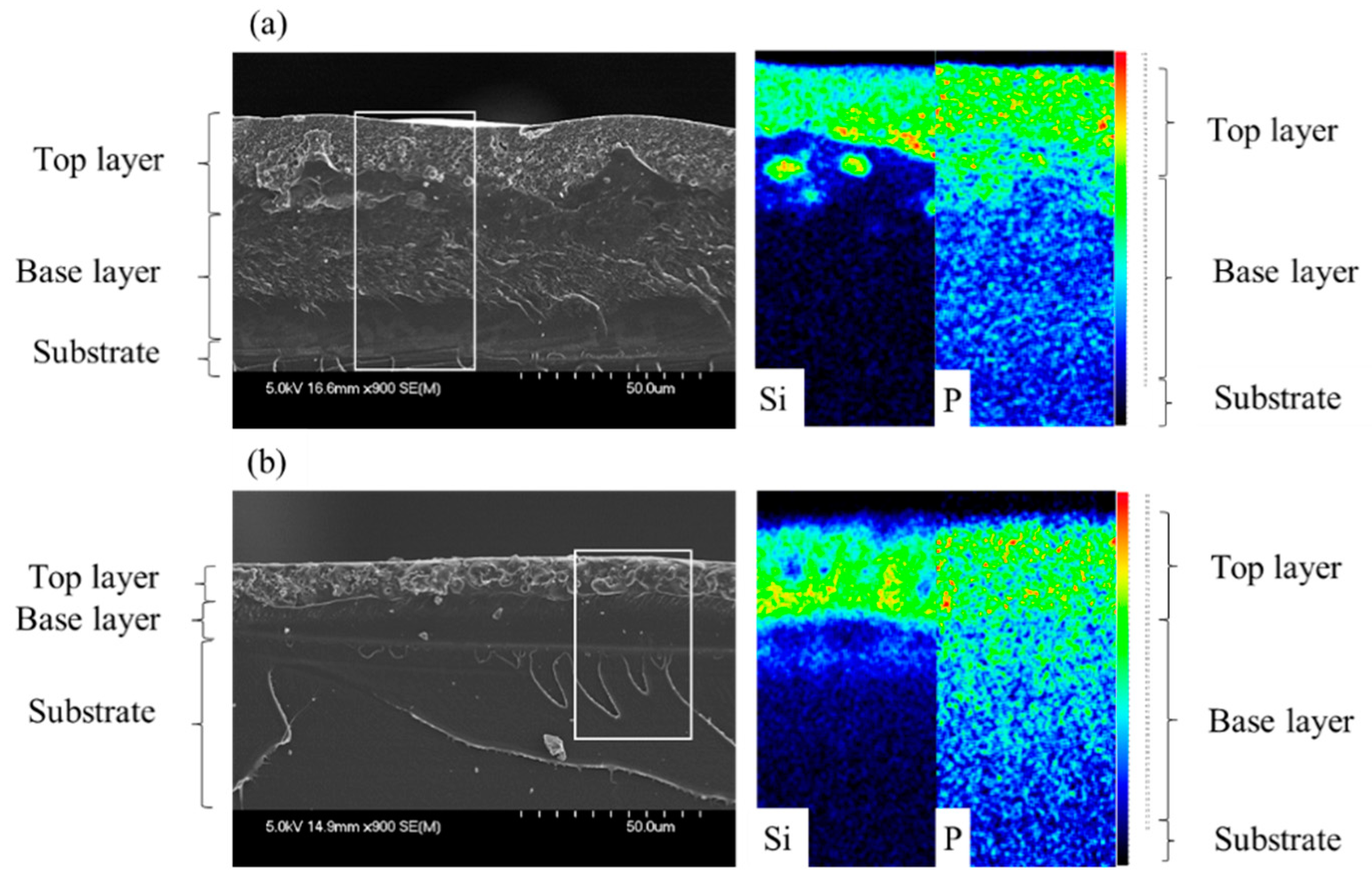 Coatings 08 00448 g002 550