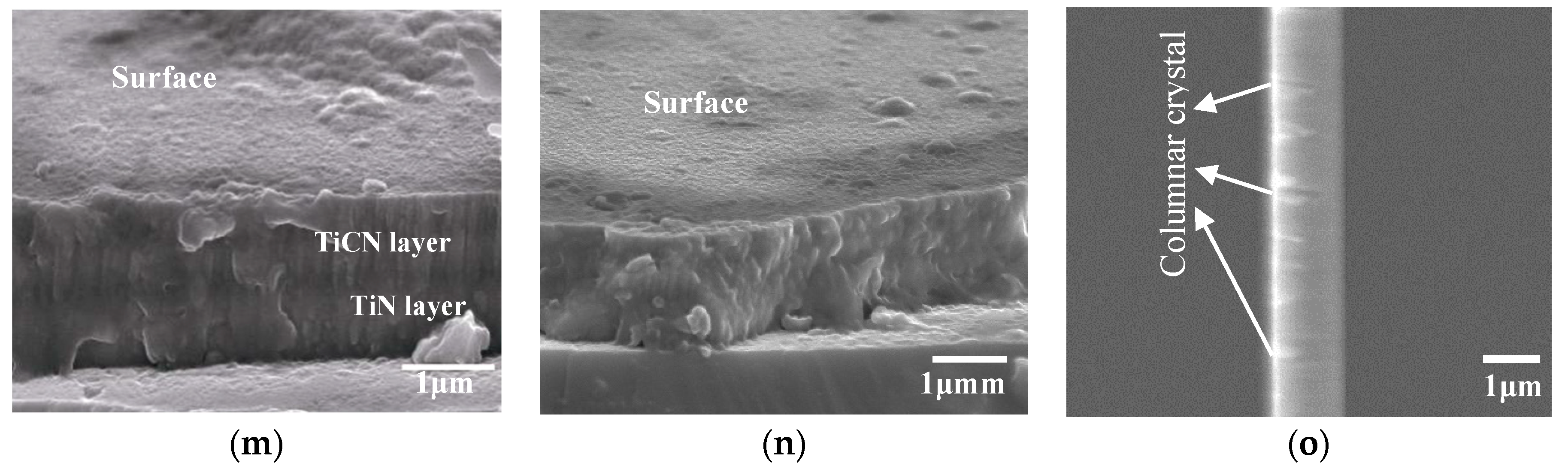 Coatings 08 00458 g003b 550