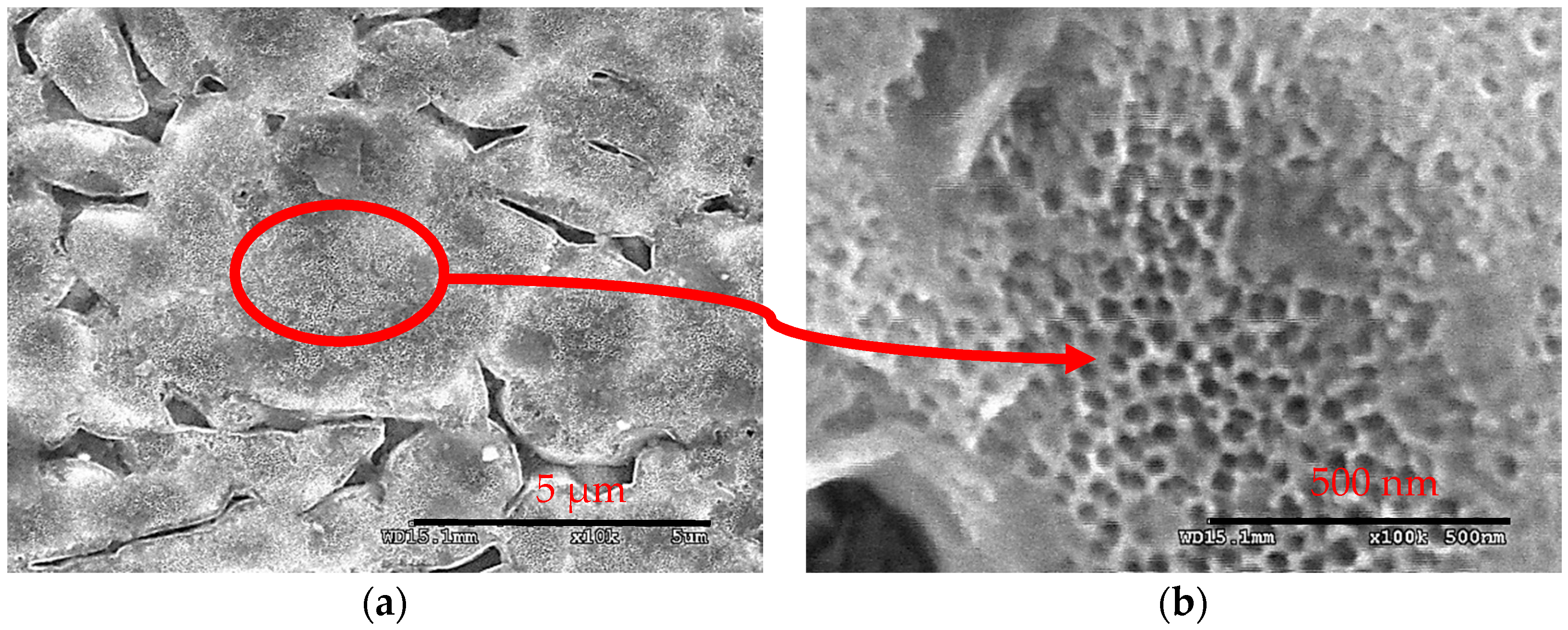 Coatings 08 00459 g005a