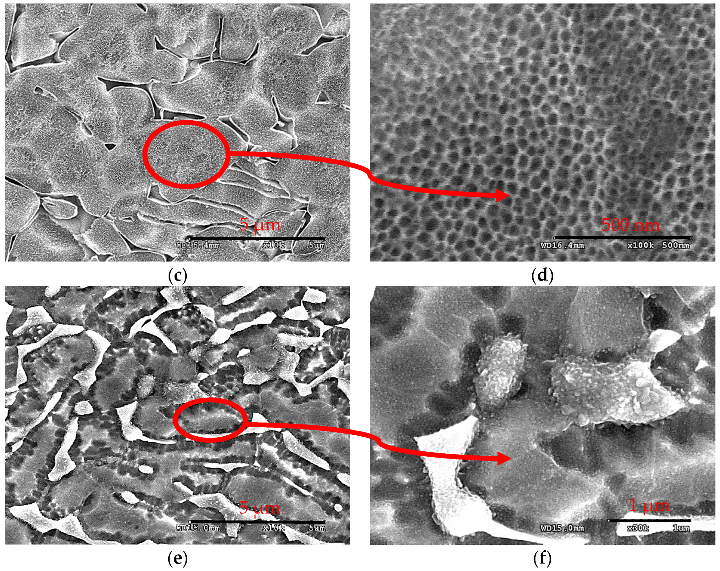 Coatings 08 00459 g005b