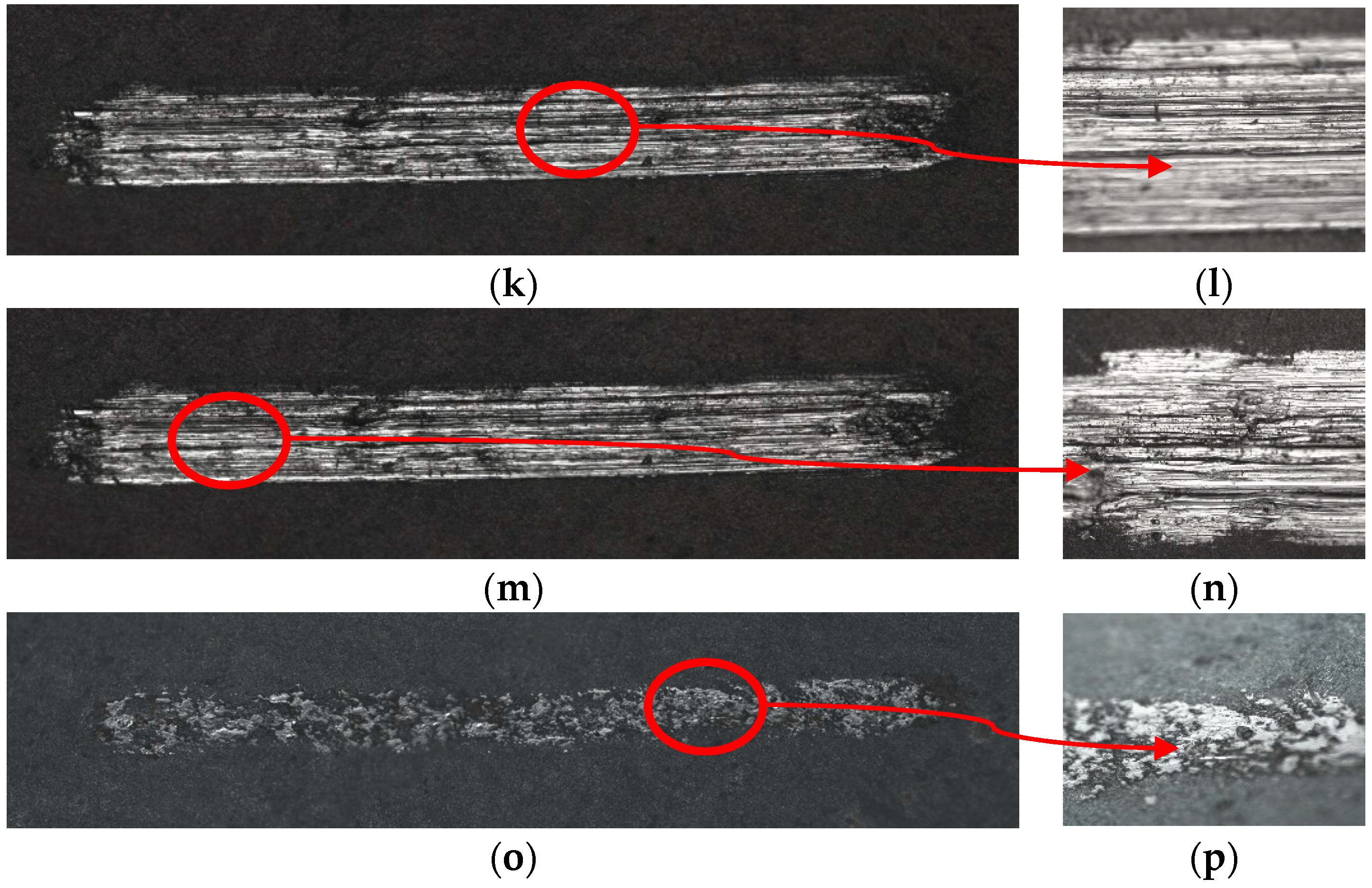 Coatings 08 00459 g009b
