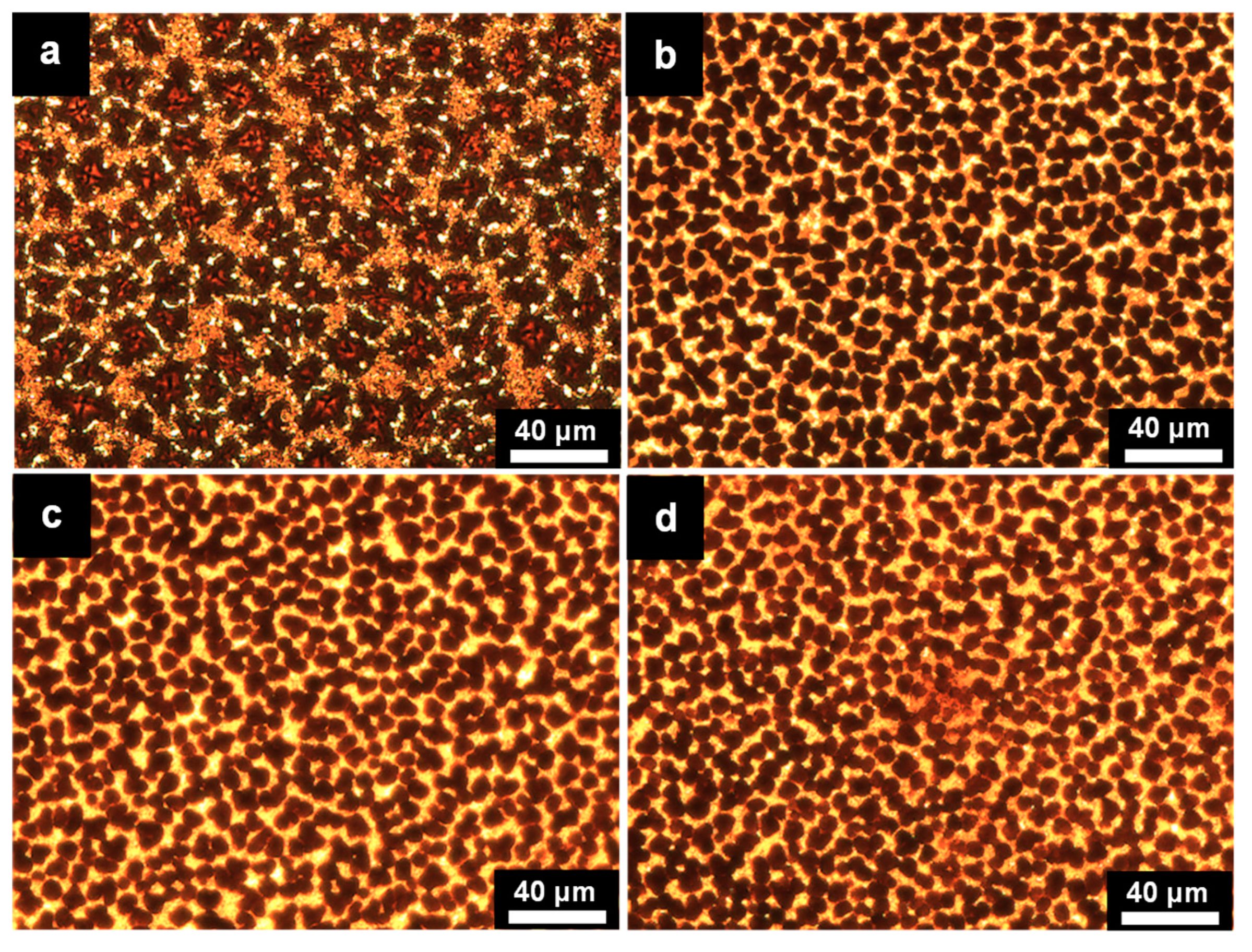 Coatings 08 00461 g003