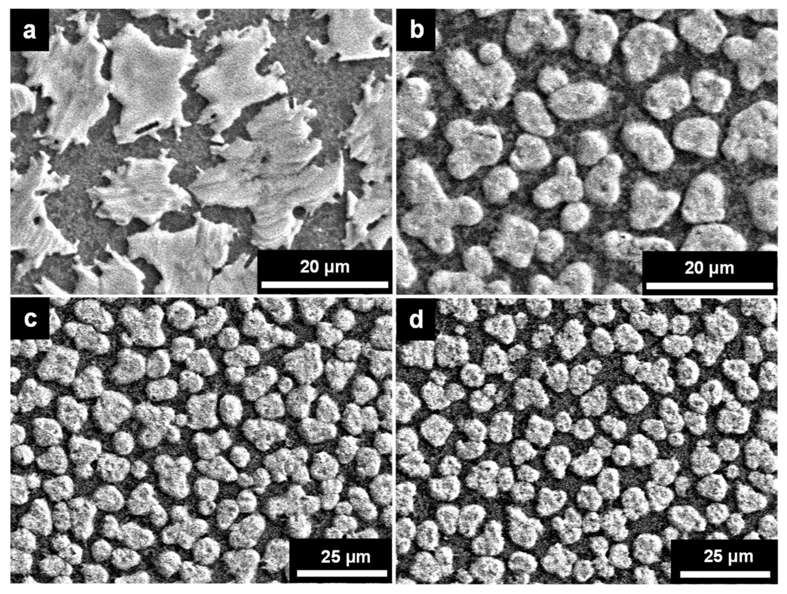 Coatings 08 00461 g004