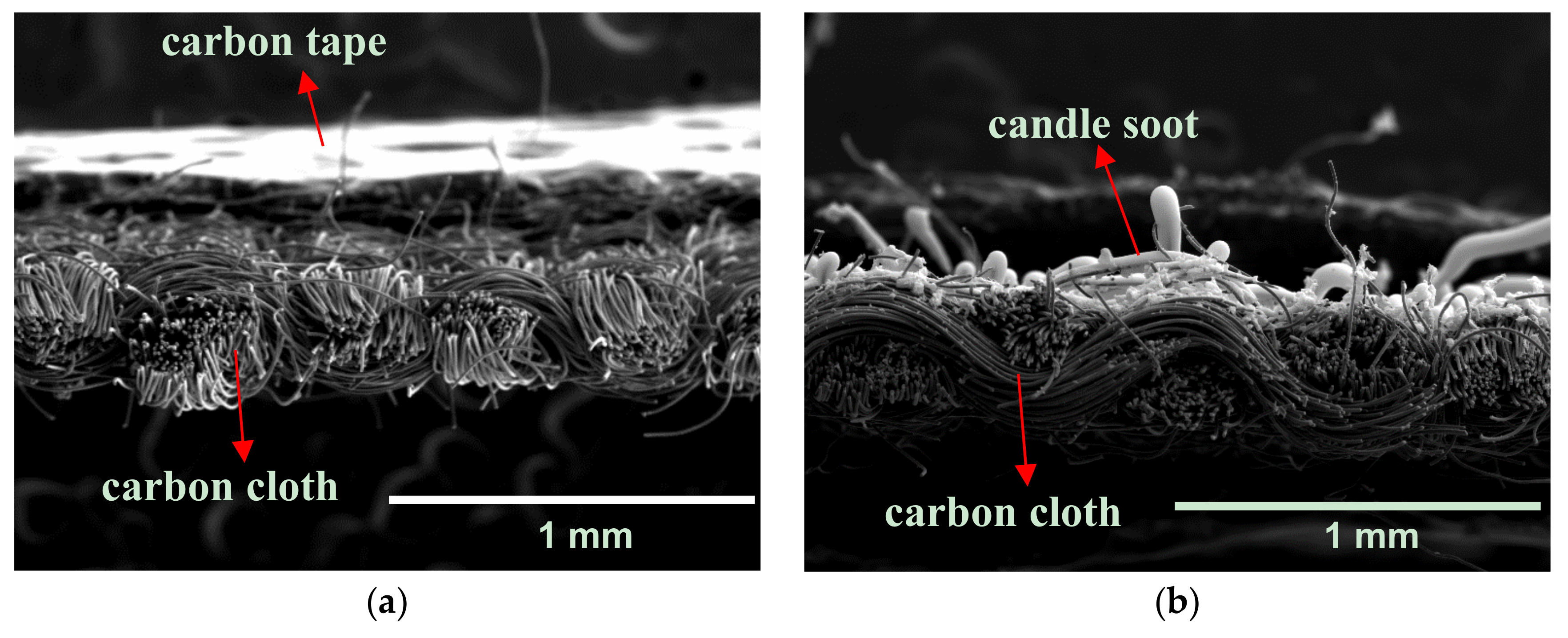 Coatings 08 00468 g003a