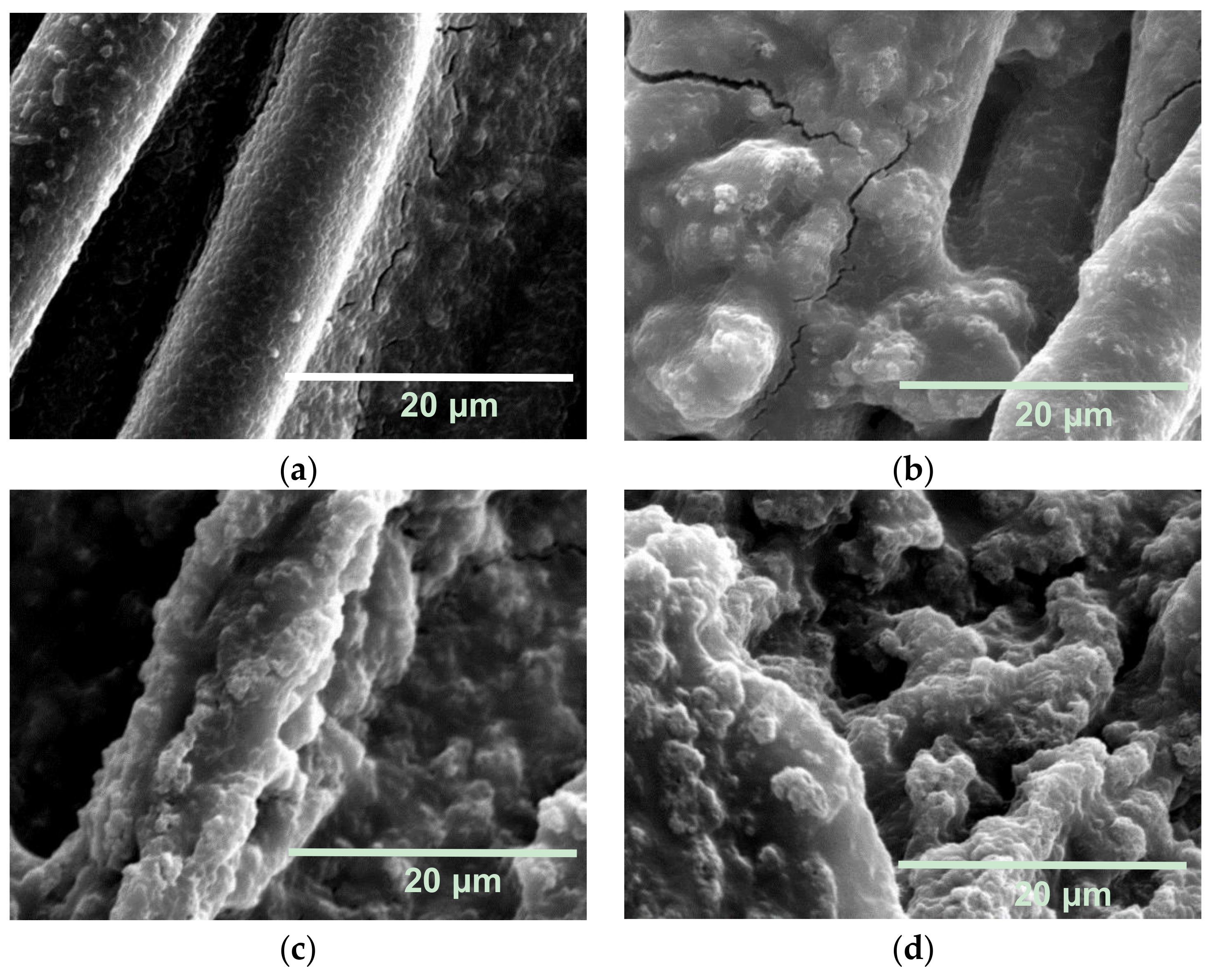 Coatings 08 00468 g008