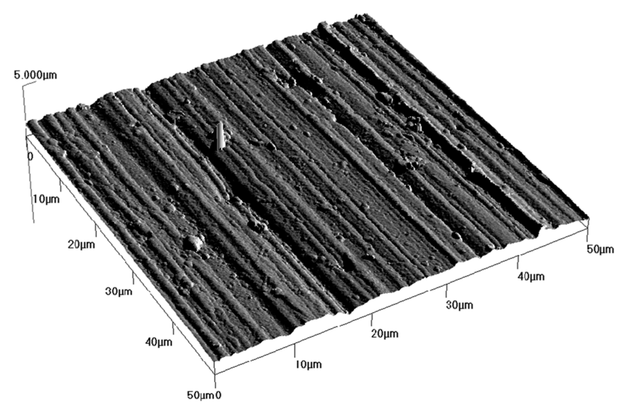 Coatings 09 00002 g006