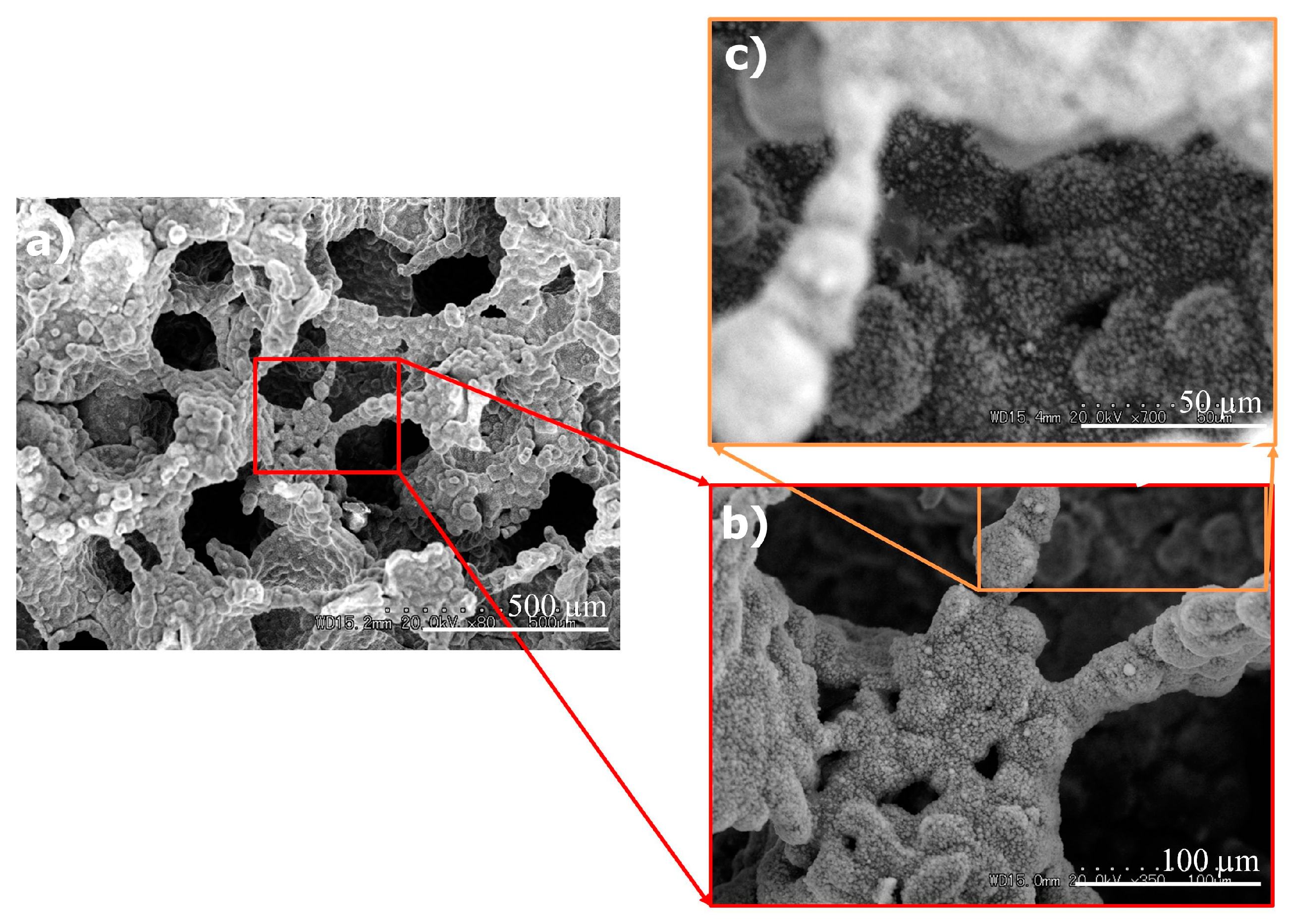 Coatings 09 00003 g004 Coatings 09 00003 g004