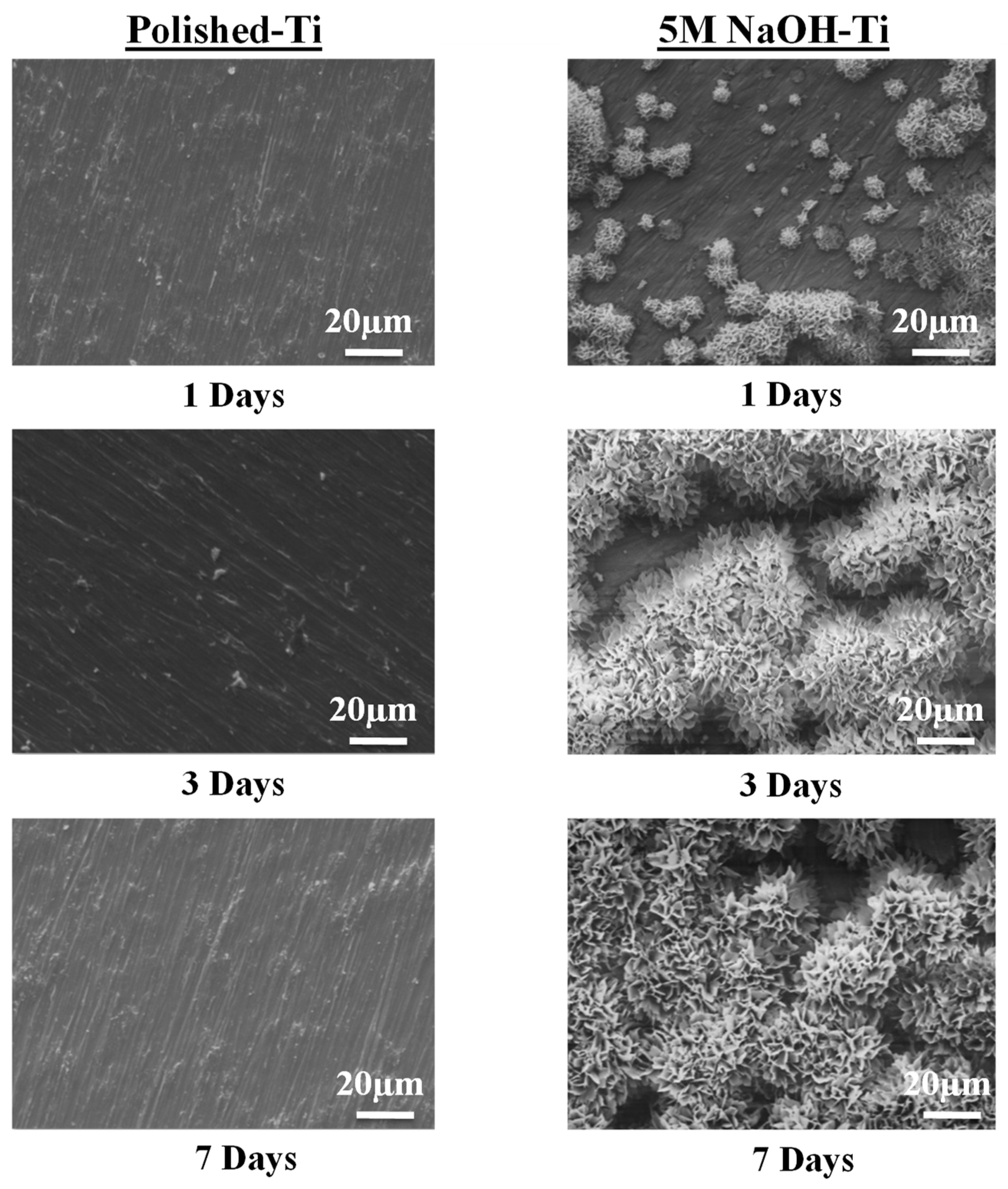 Coatings 09 00003 g006 Coatings 09 00003 g006
