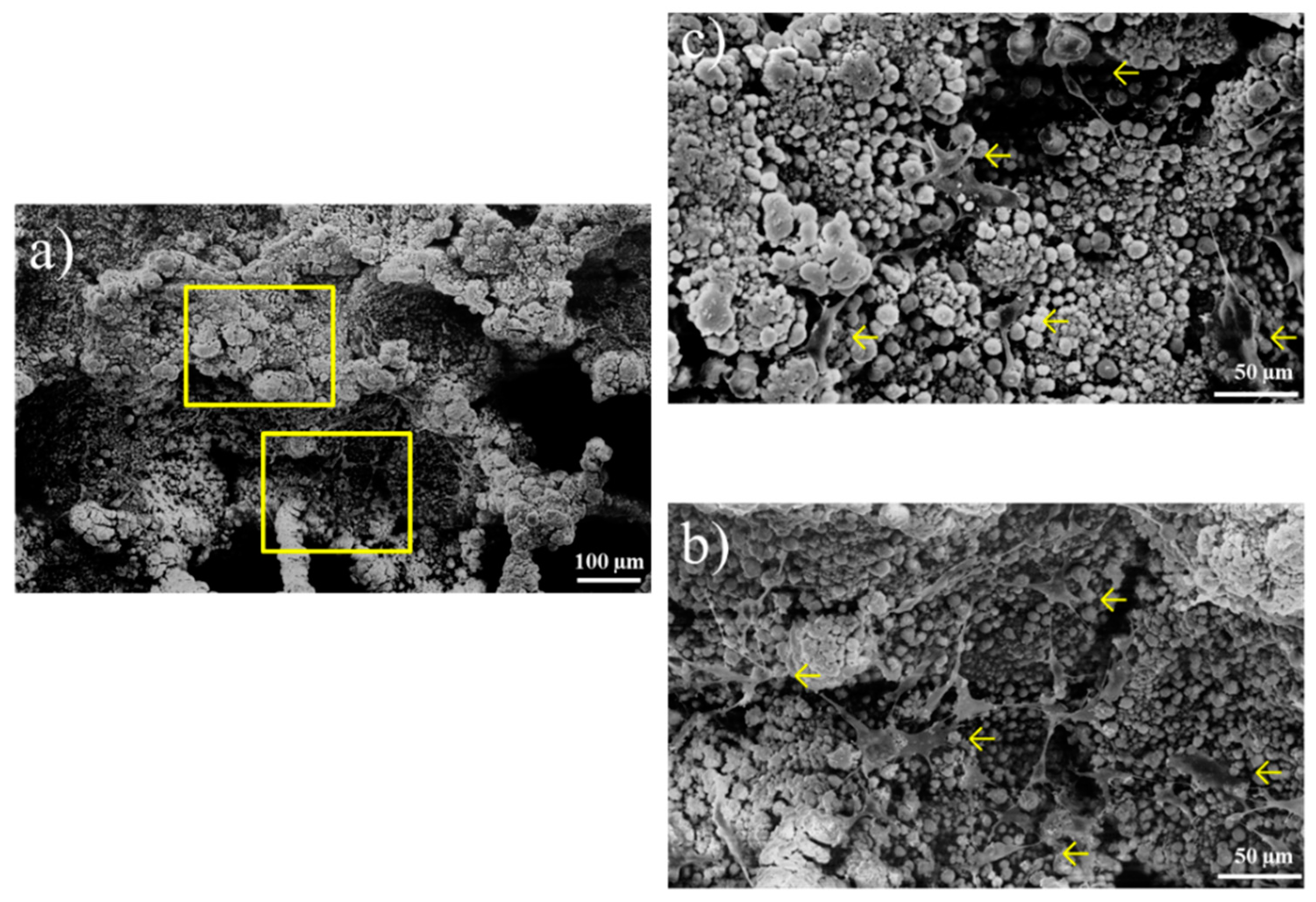 Coatings 09 00003 g010 Coatings 09 00003 g010