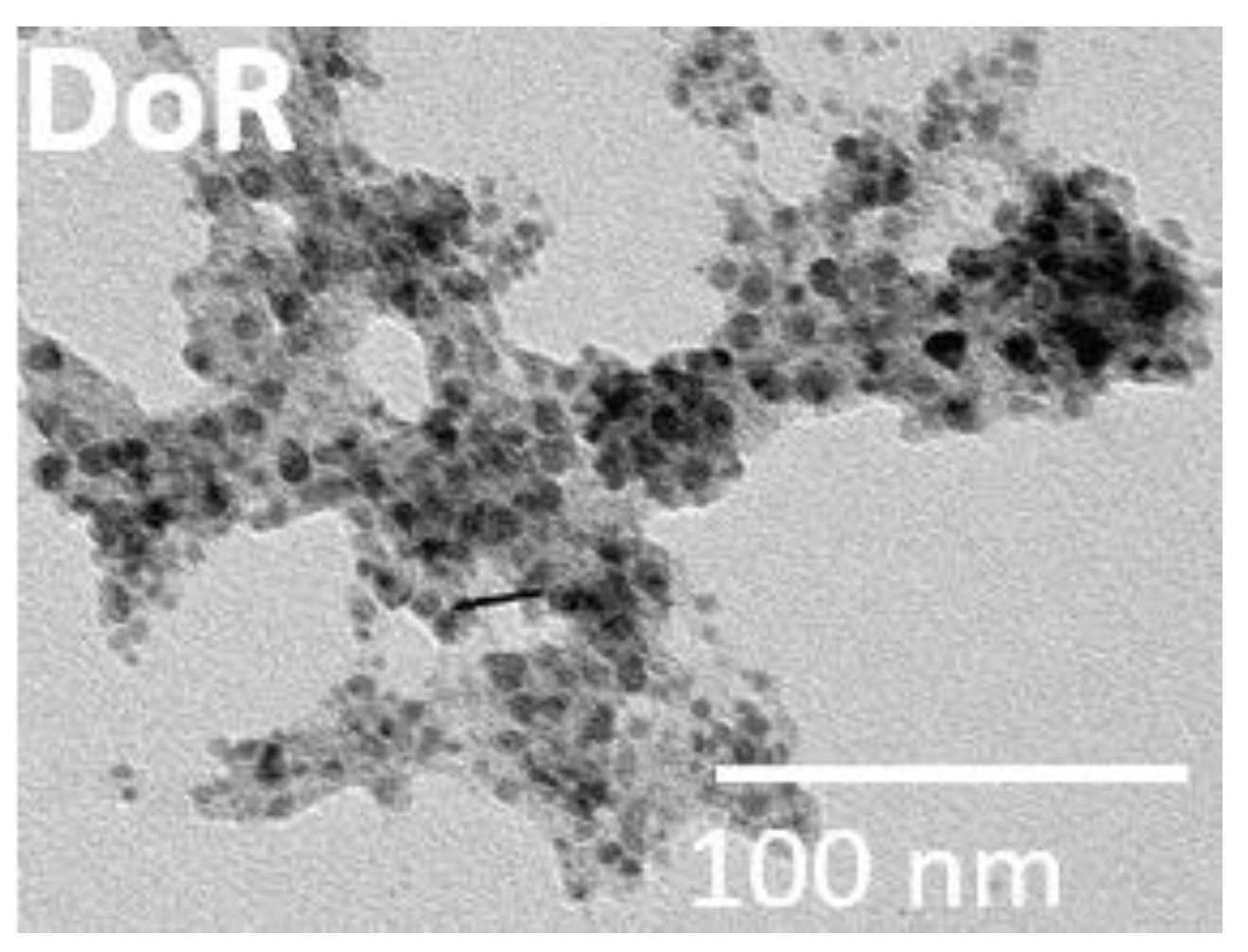 Coatings 09 00006 g002