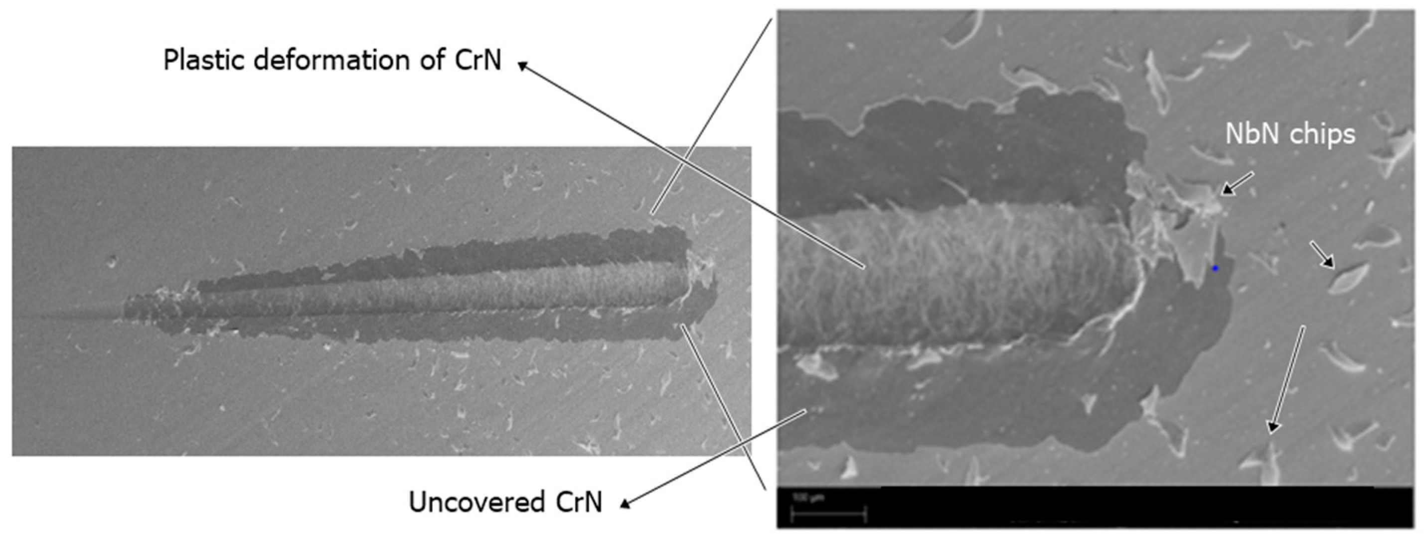 Coatings Free FullText Corrosion Behavior and Surface Properties