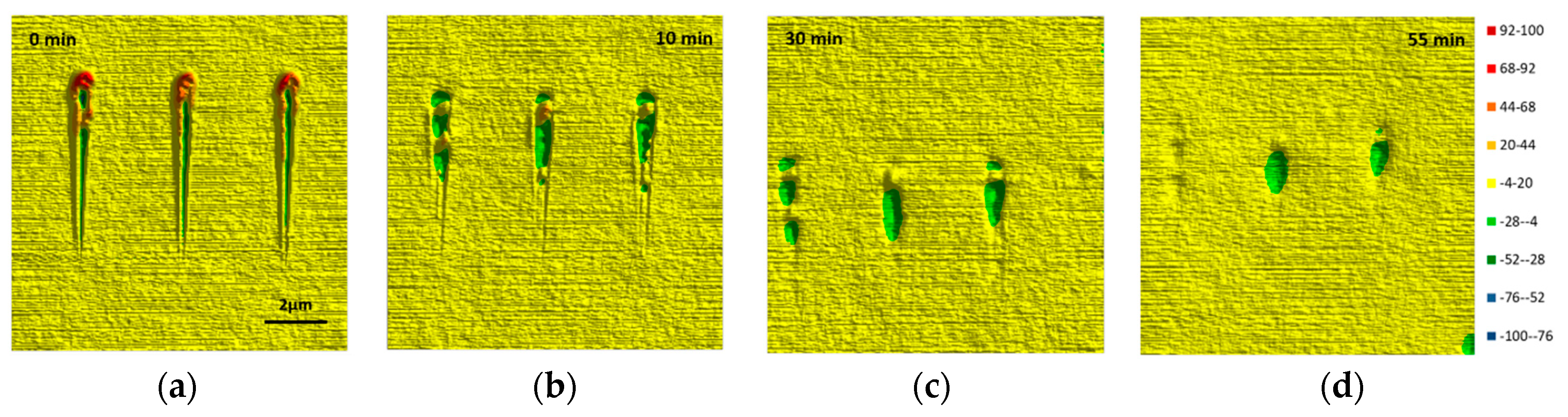 Coatings 09 00013 g0a1 Coatings 09 00013 g0a1