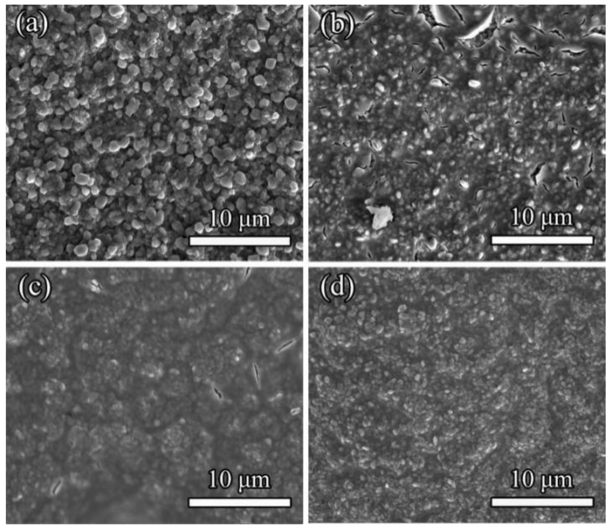 Coatings 09 00014 g003