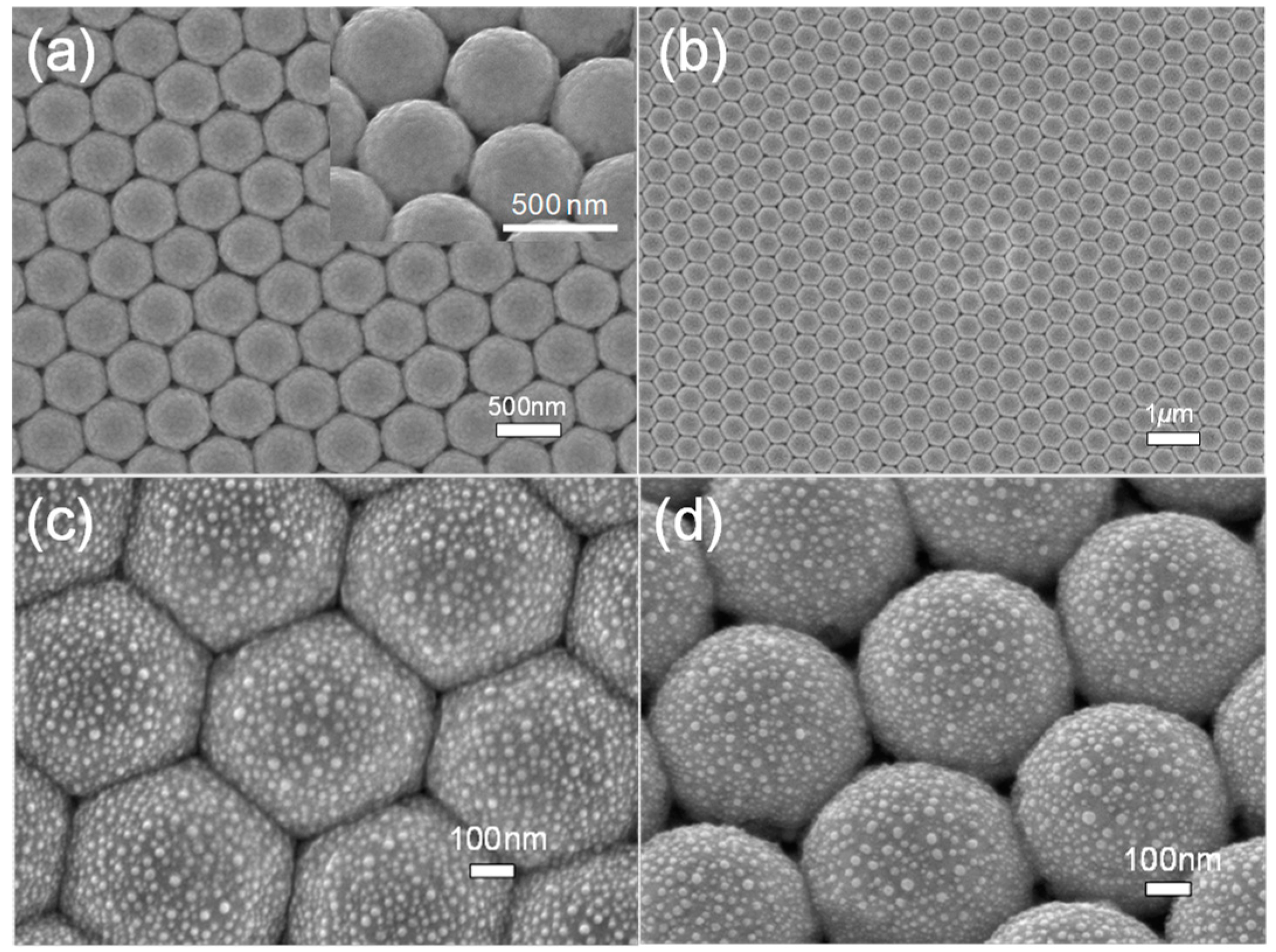 Coatings 09 00020 g002