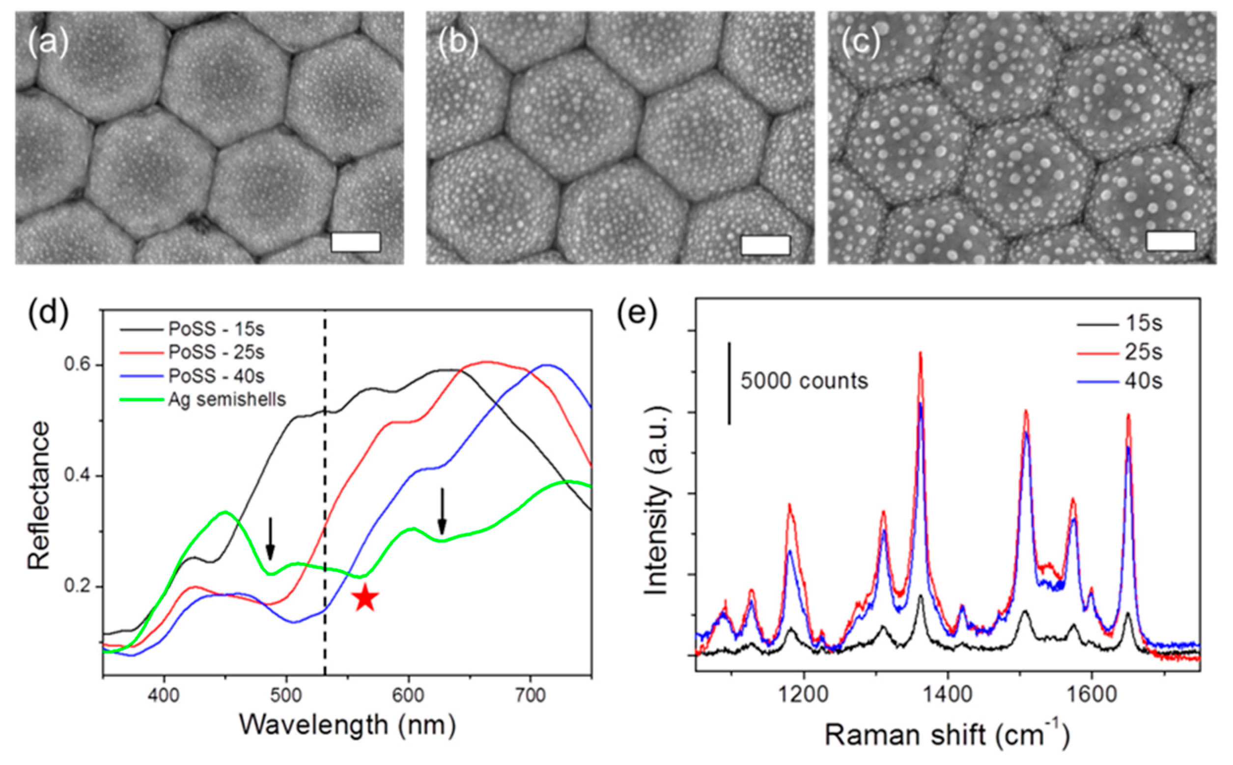 Coatings 09 00020 g005