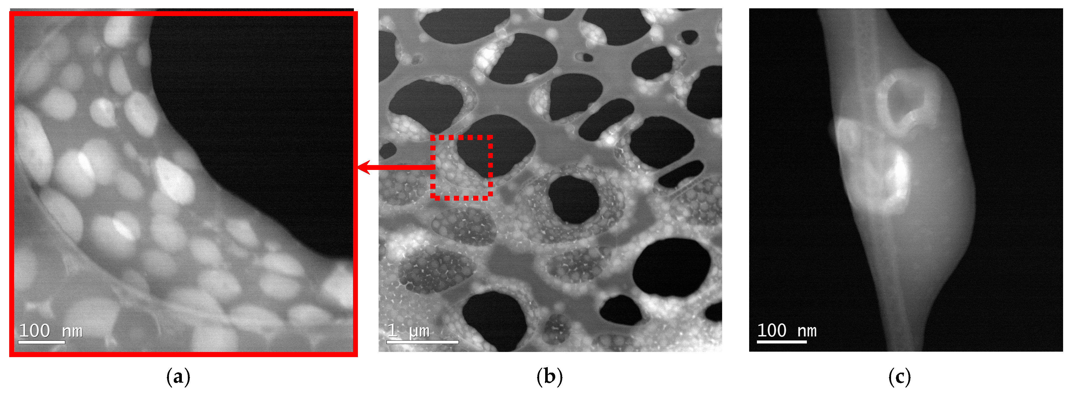 Coatings 09 00025 g007