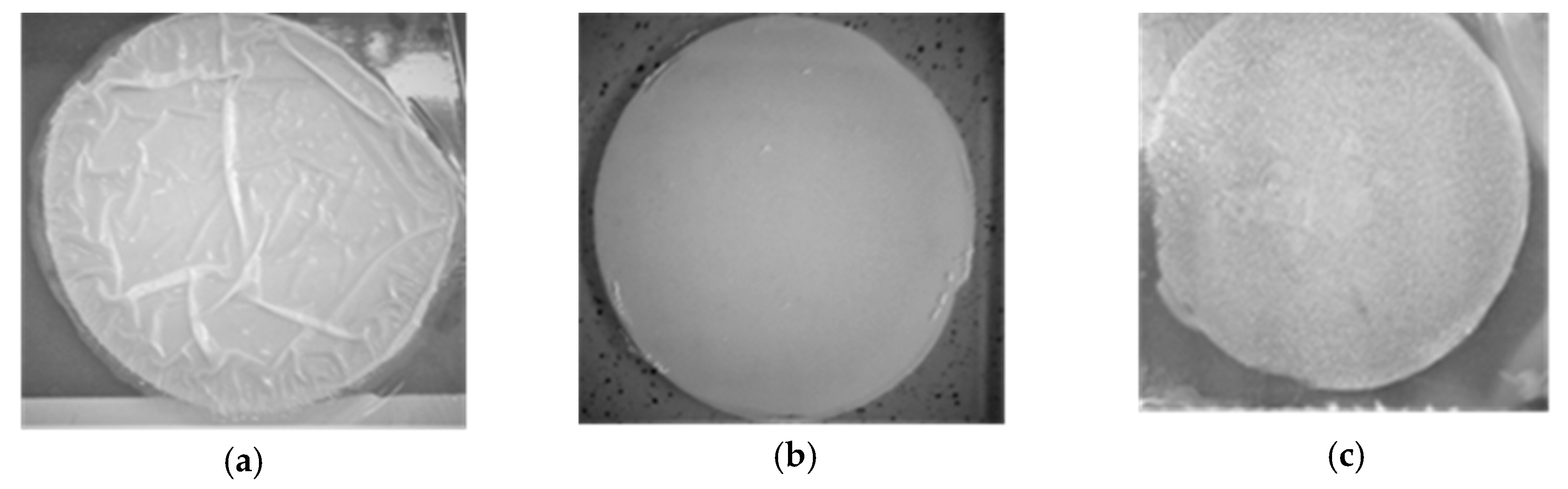 Coatings 09 00025 g012