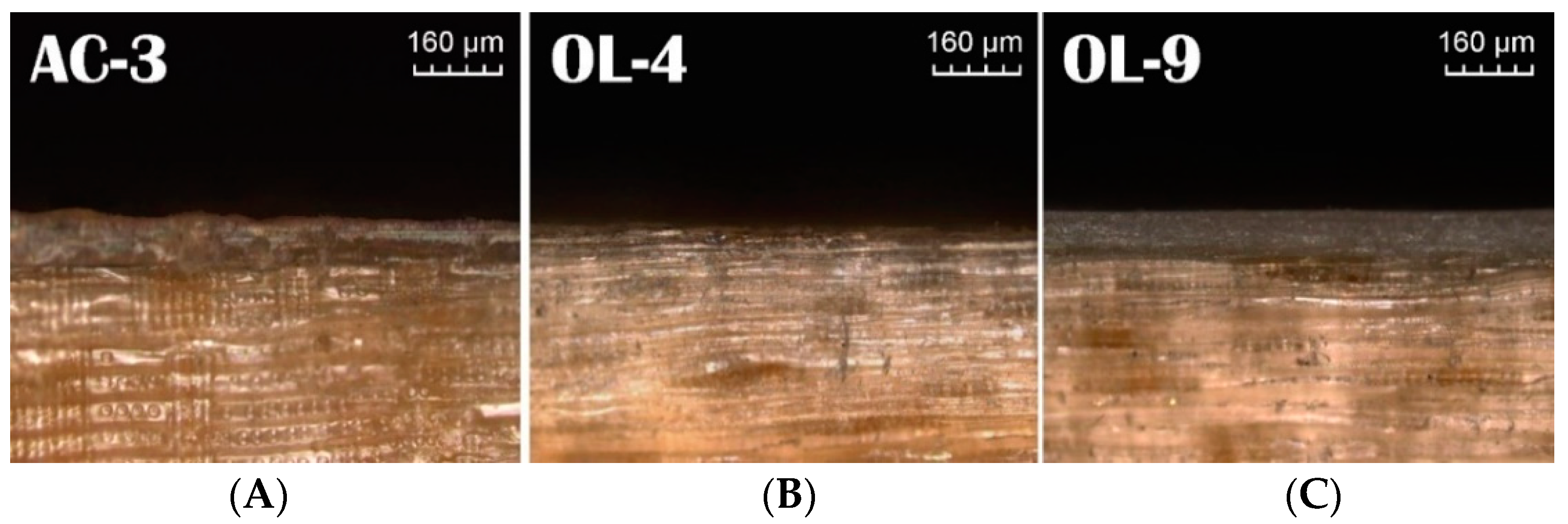 Coatings 09 00039 g001 550