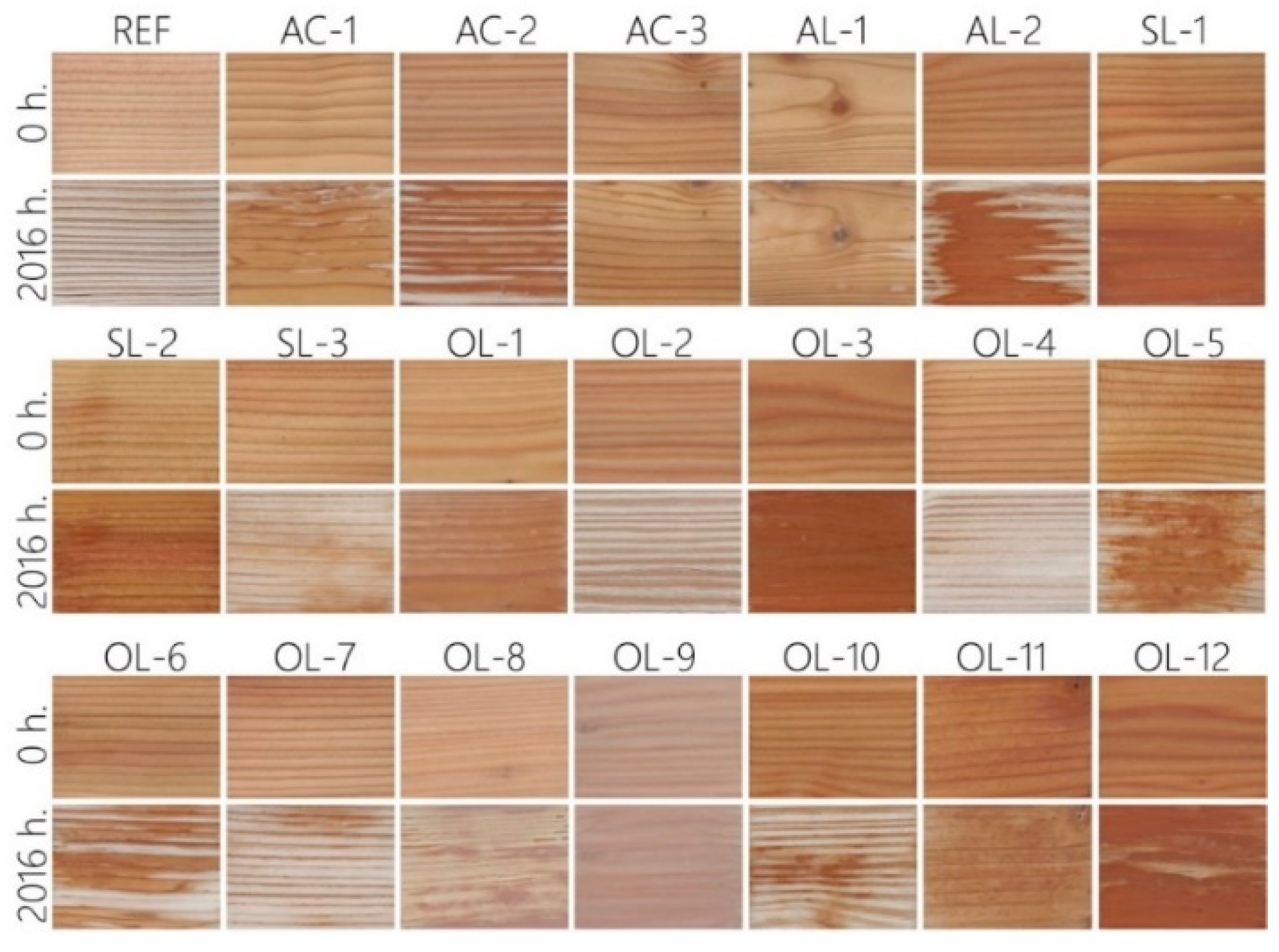 Coatings 09 00039 g006 550