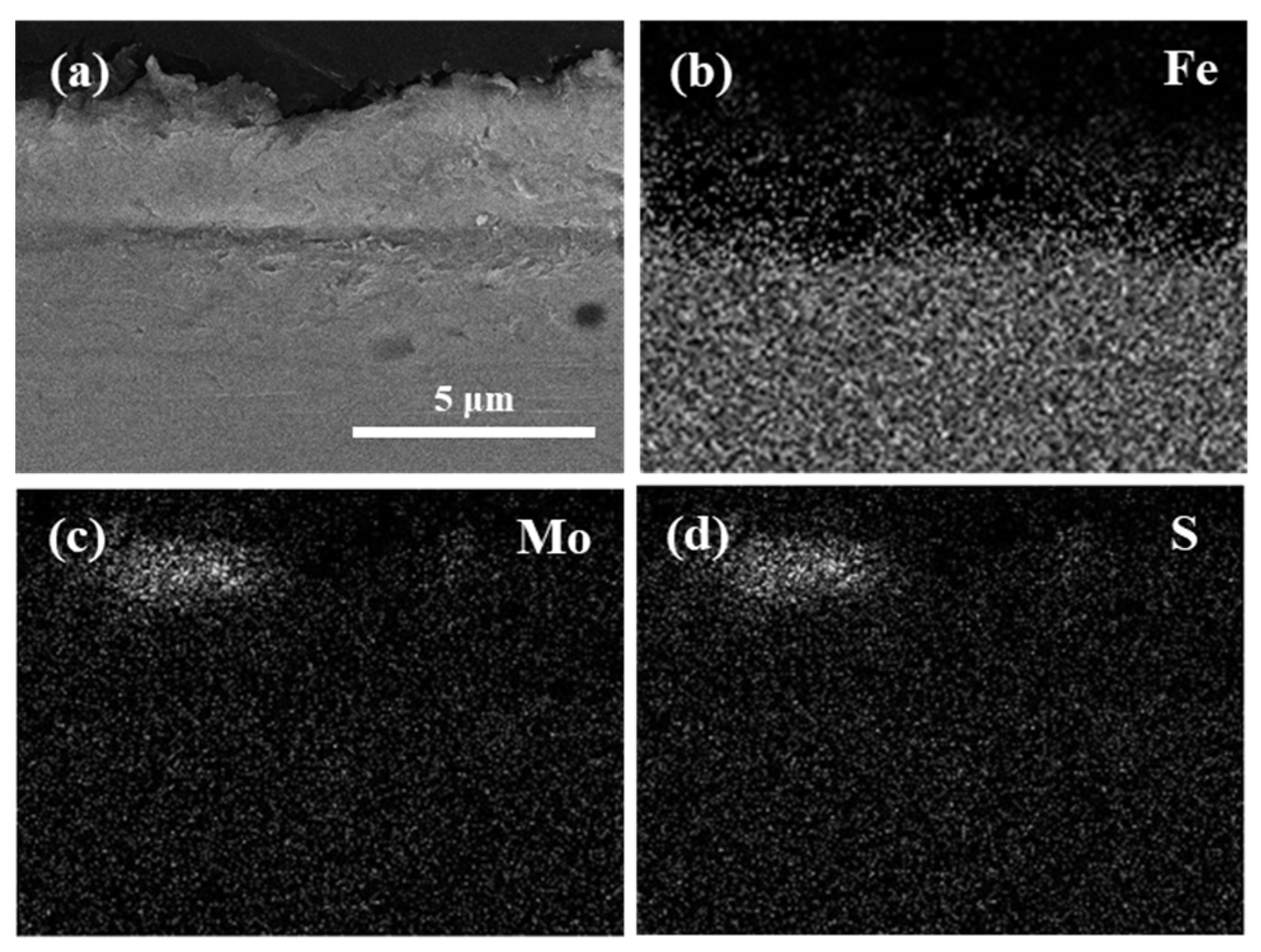 Coatings 09 00045 g003