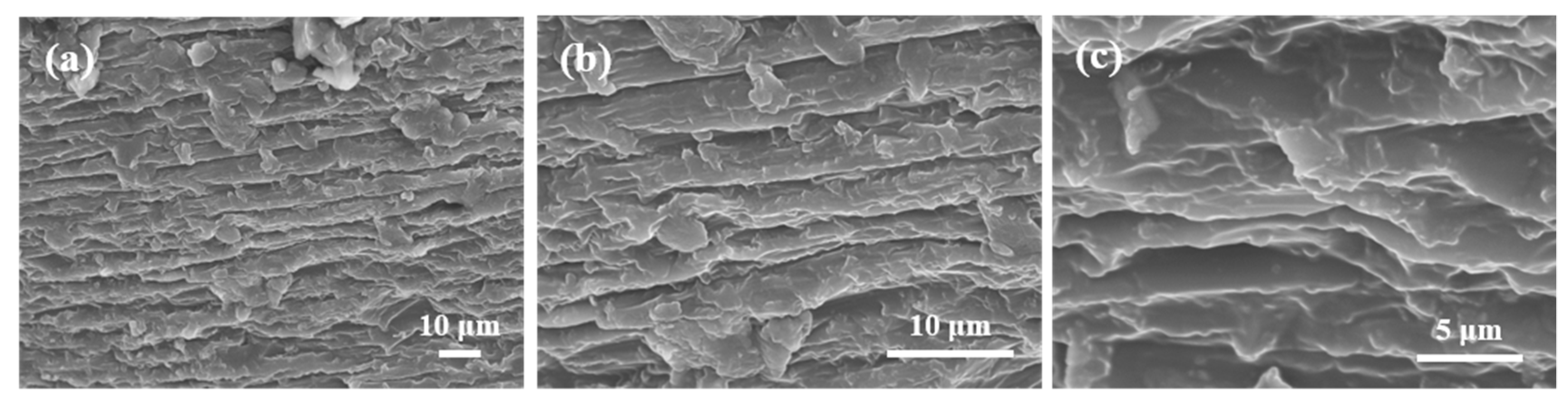 Coatings 09 00045 g004