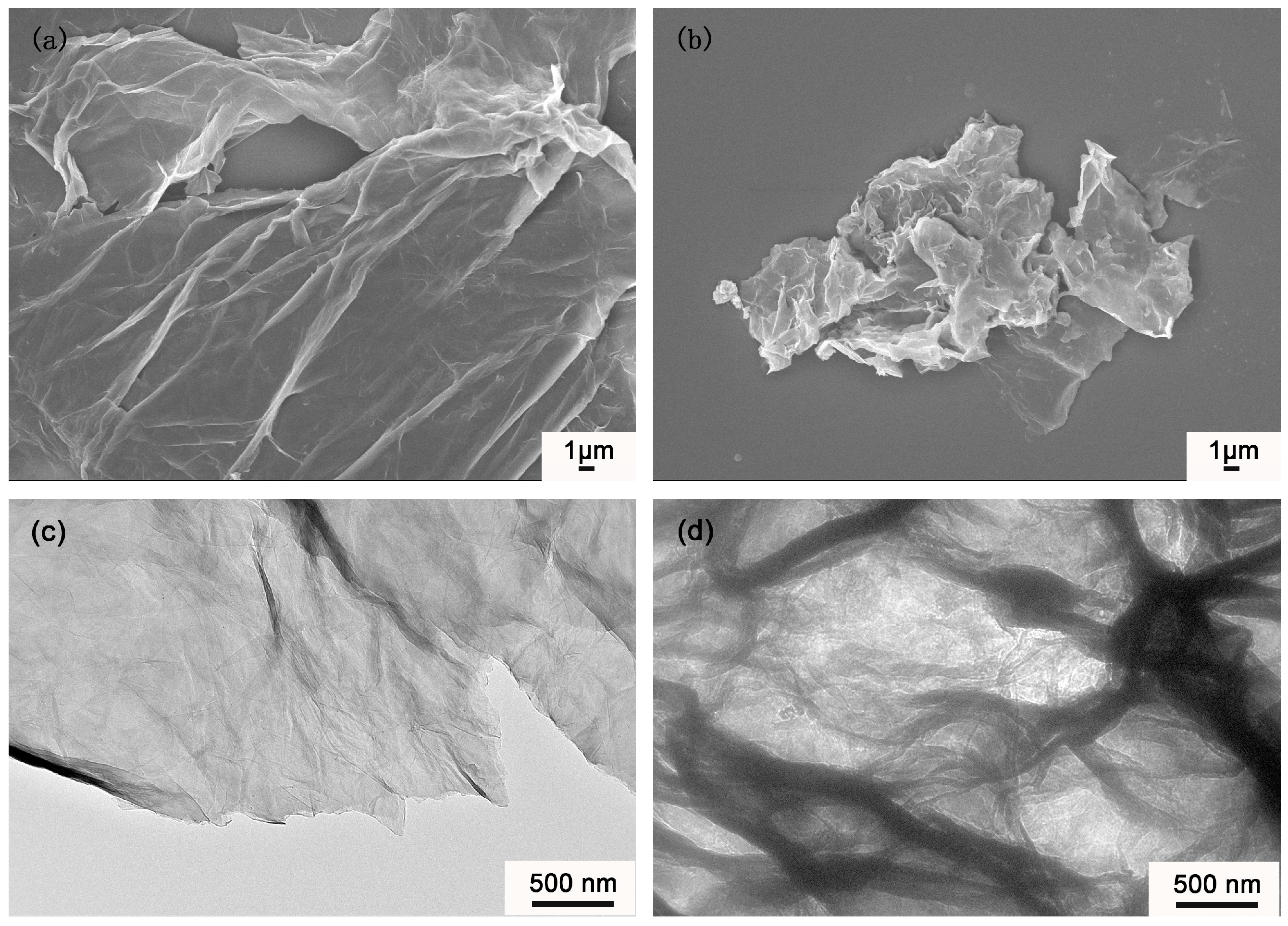 Coatings 09 00046 g006 Coatings 09 00046 g006