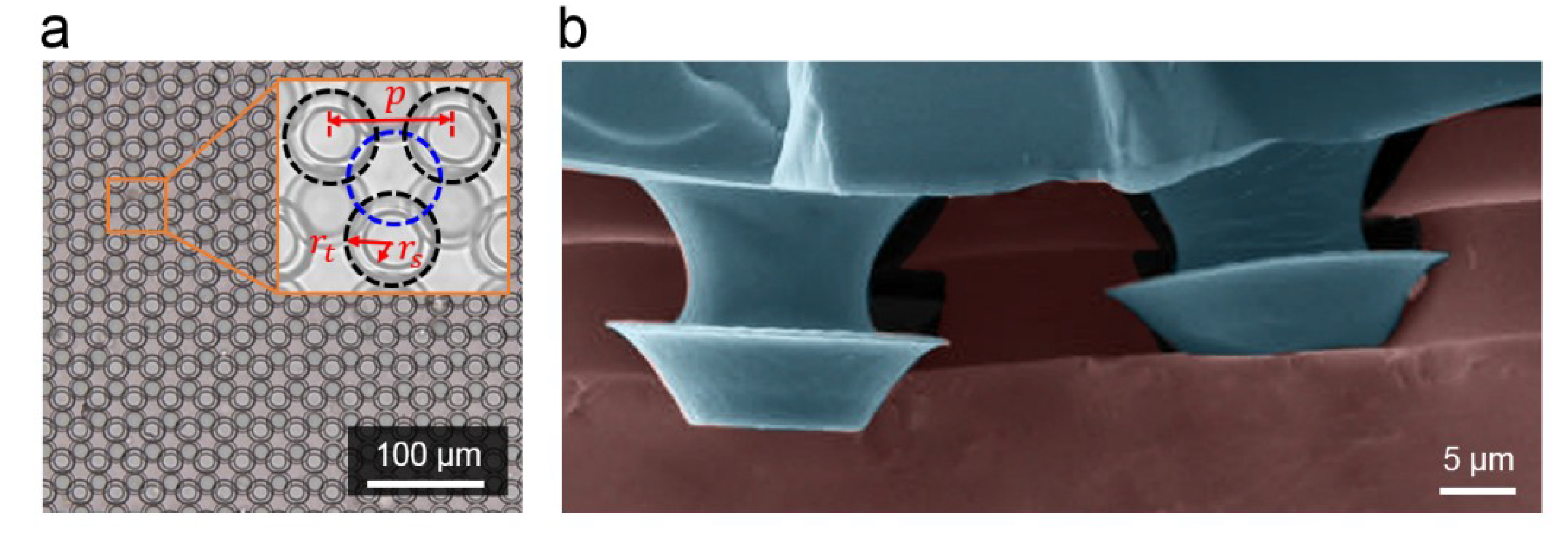 Coatings 09 00048 g002