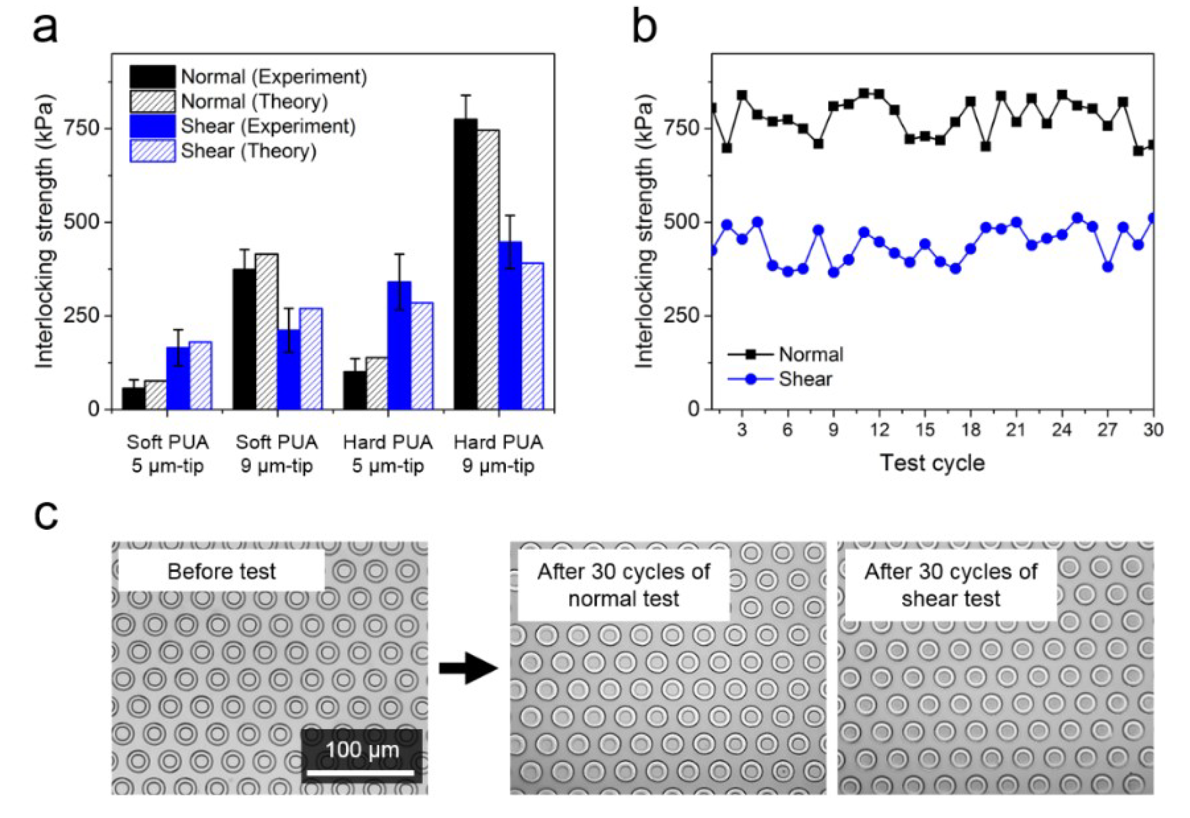 Coatings 09 00048 g003