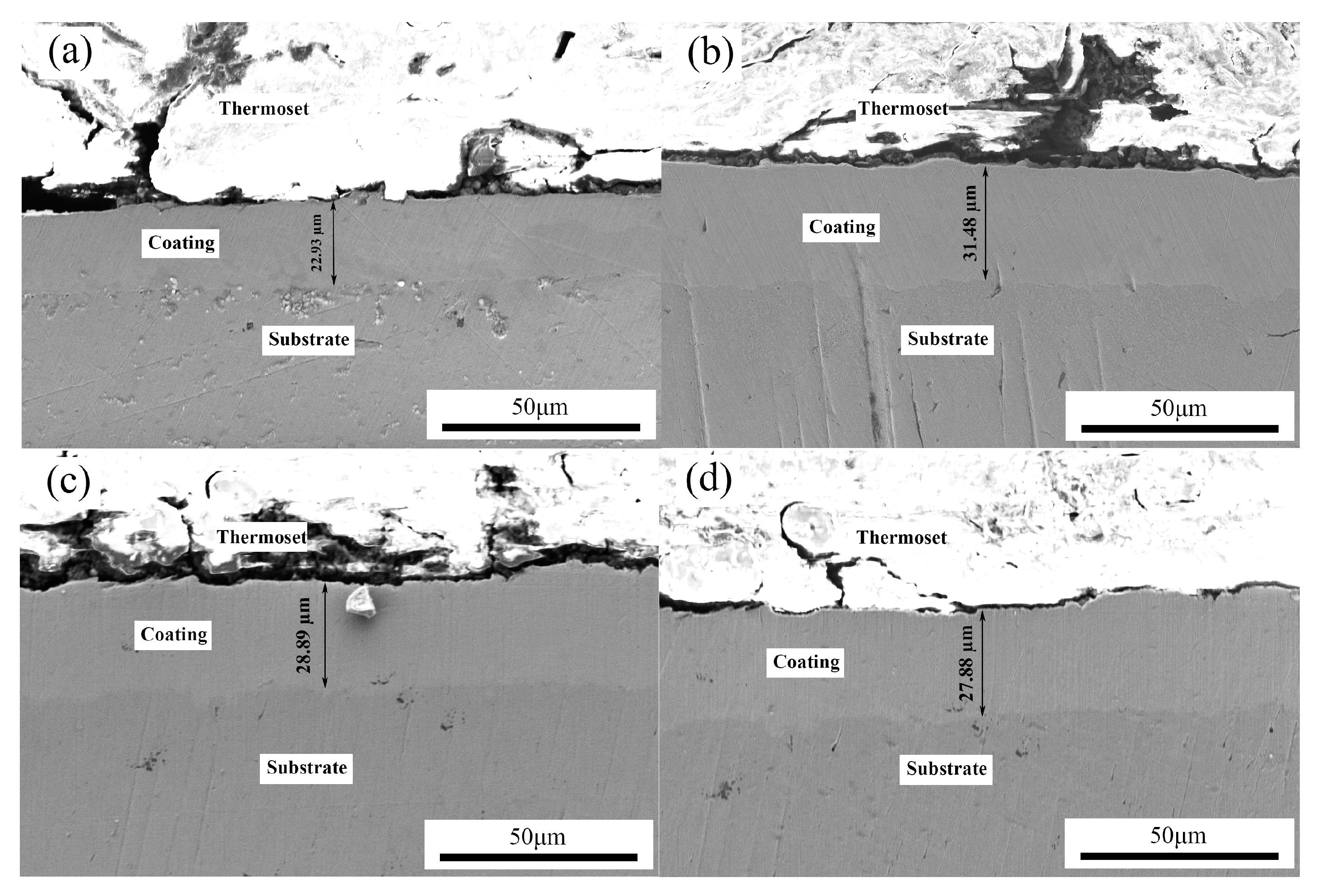 Coatings 09 00050 g005