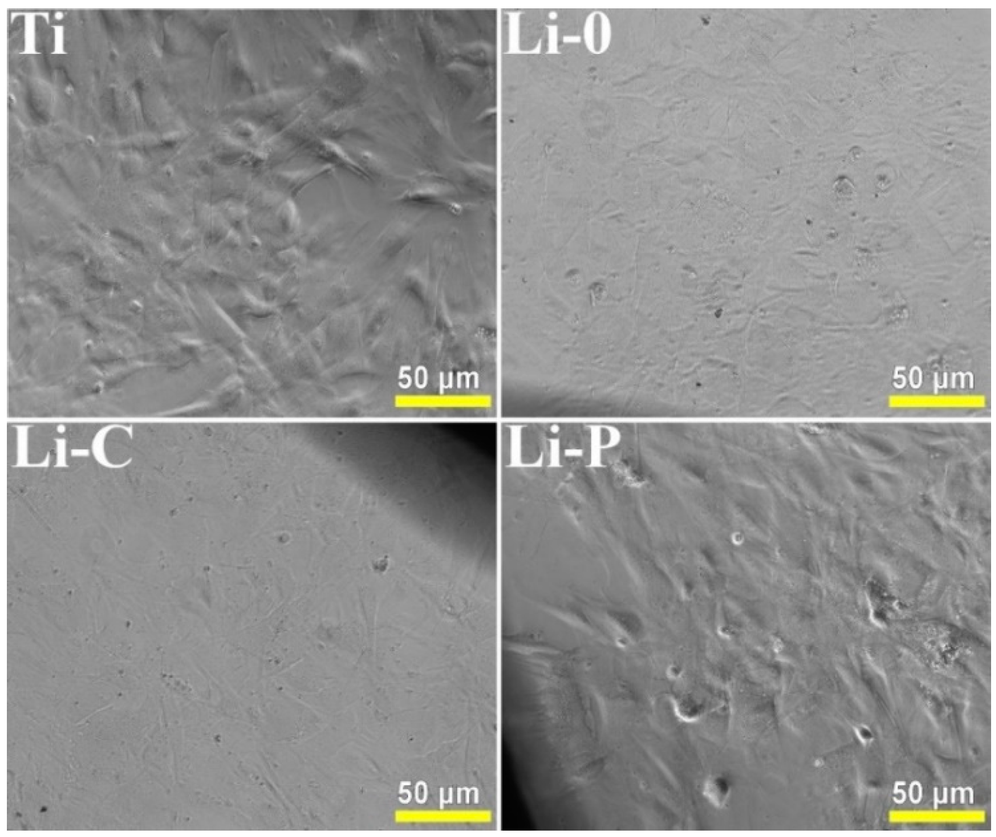 Coatings 09 00054 g002