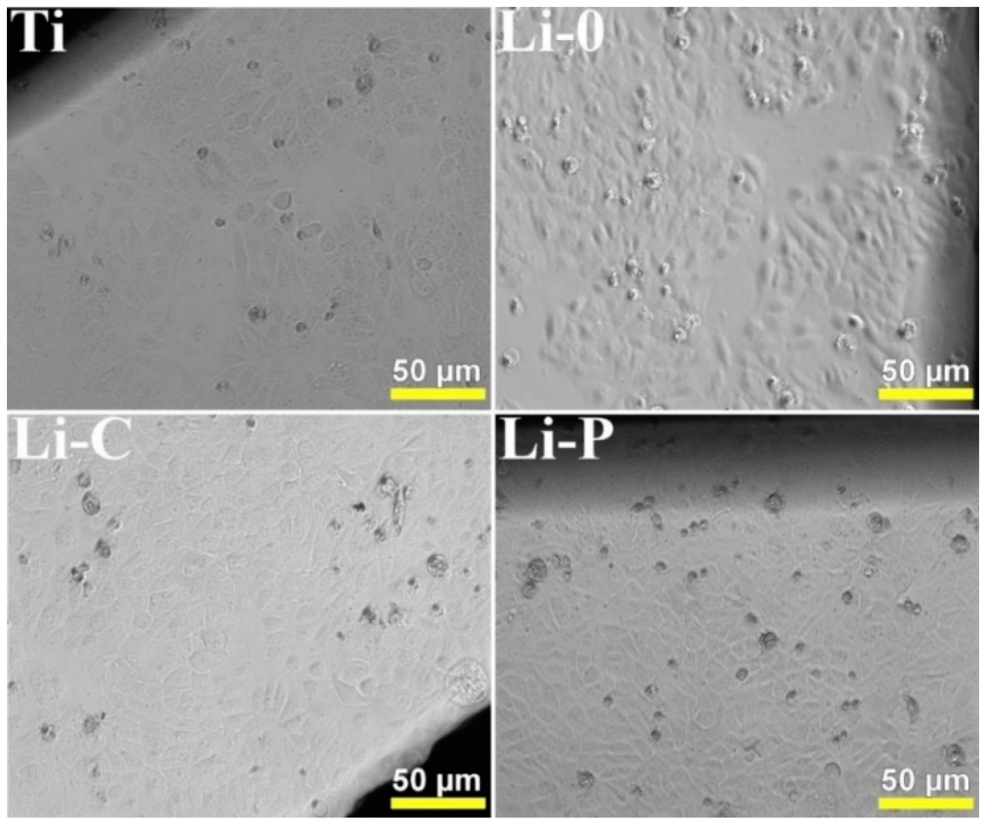 Coatings 09 00054 g003