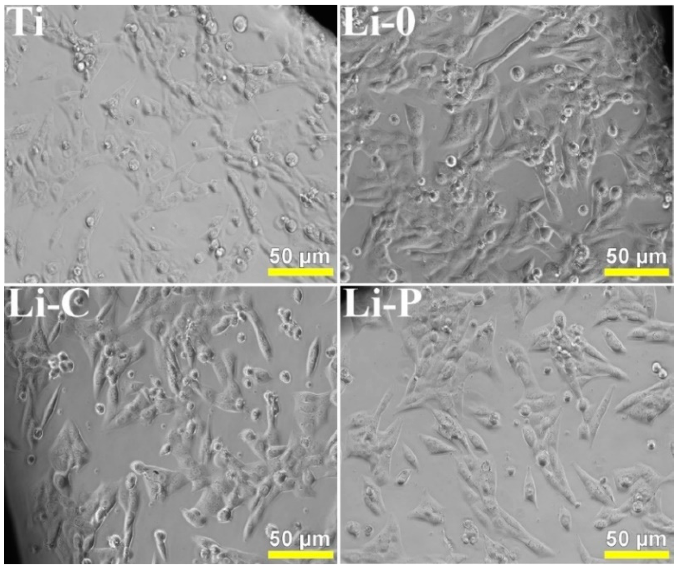 Coatings 09 00054 g004
