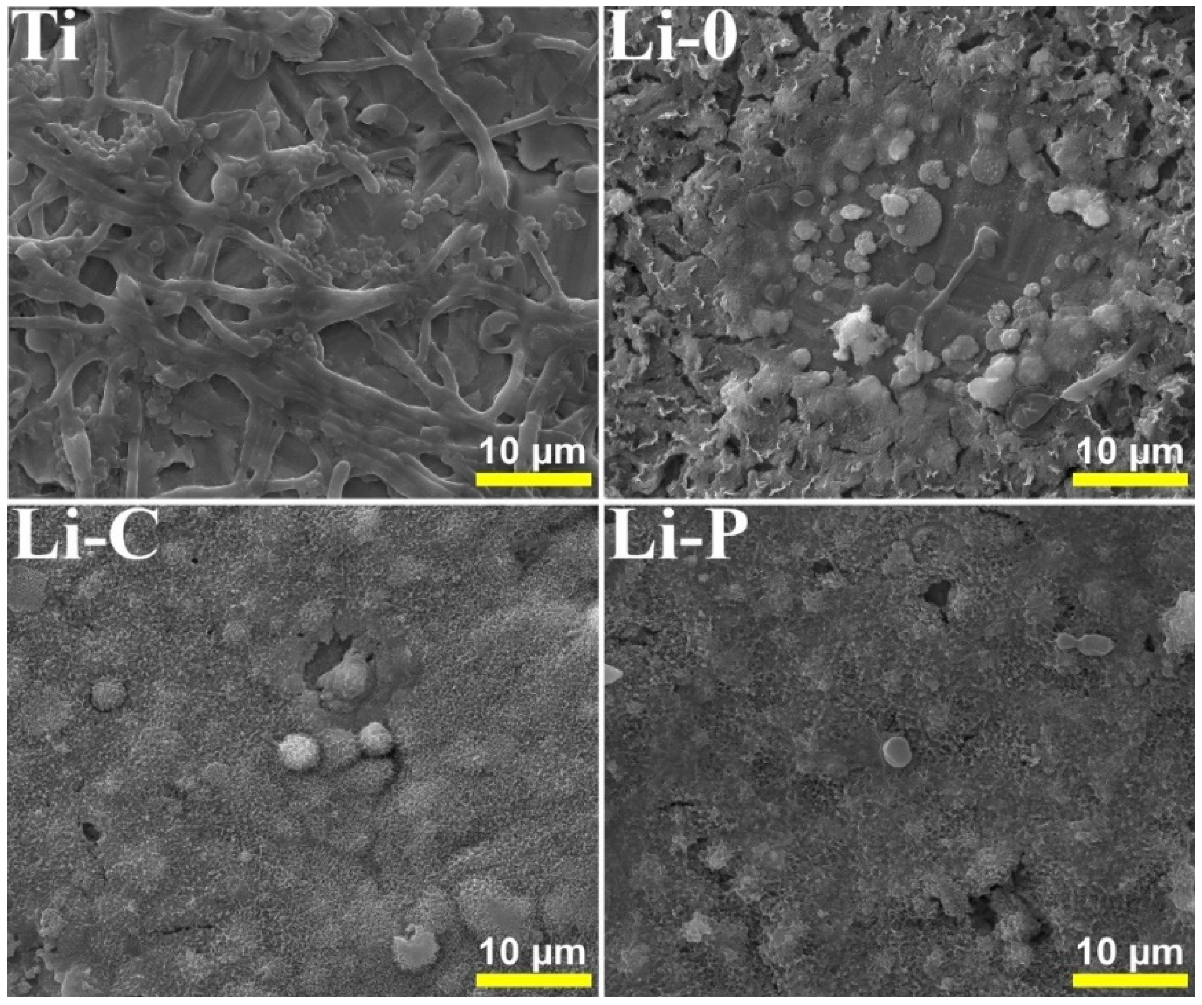 Coatings 09 00054 g014