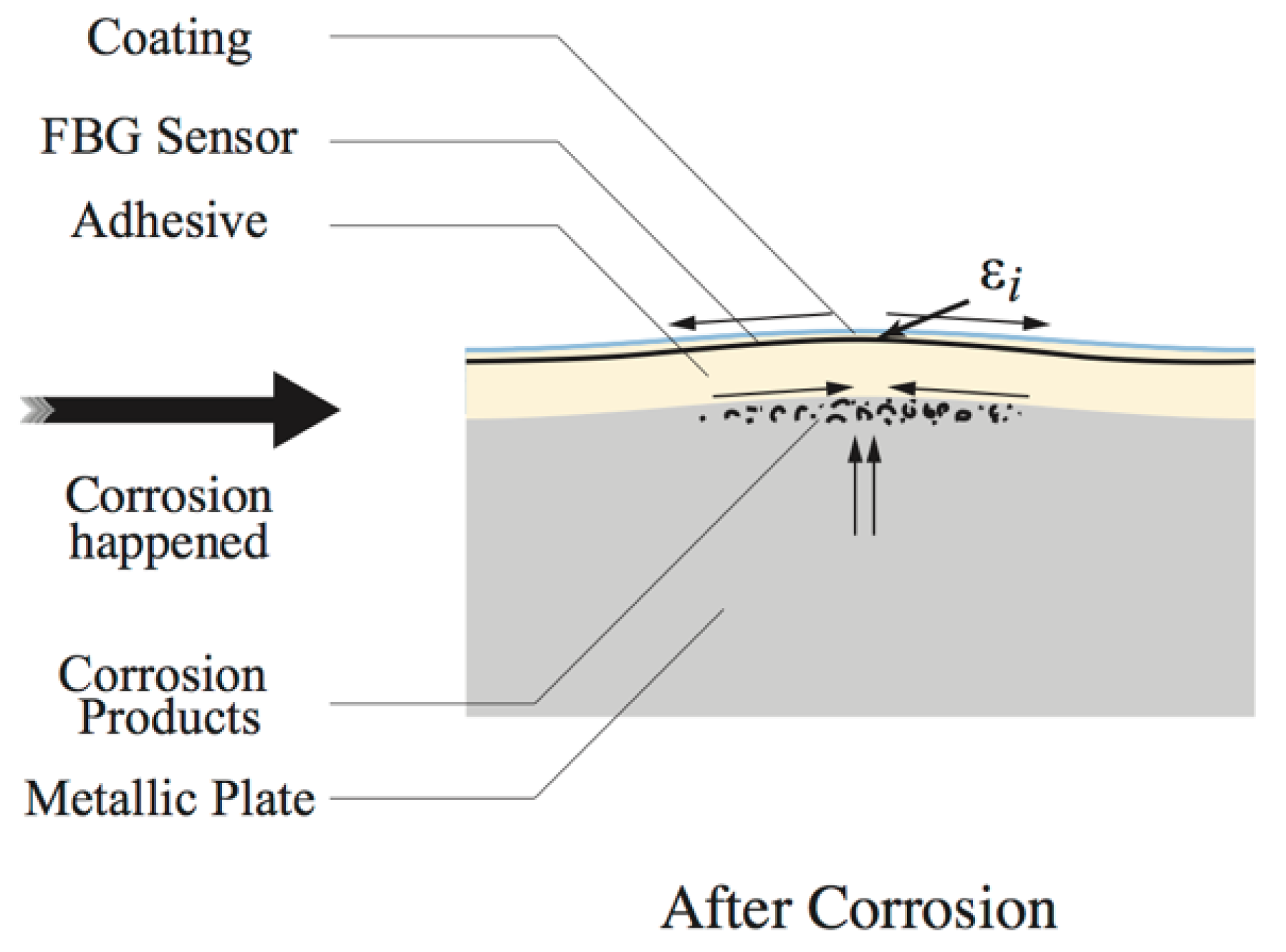 Coatings 09 00055 g001