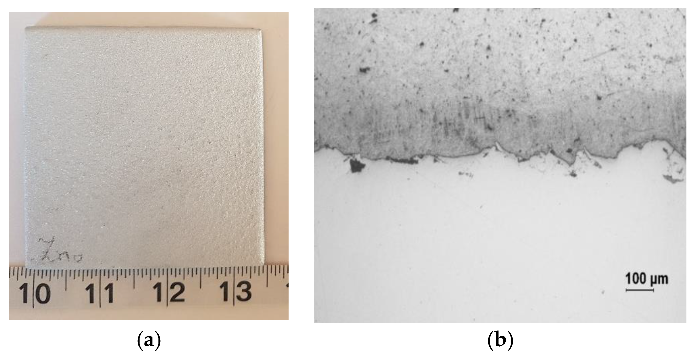 Coatings 09 00055 g003
