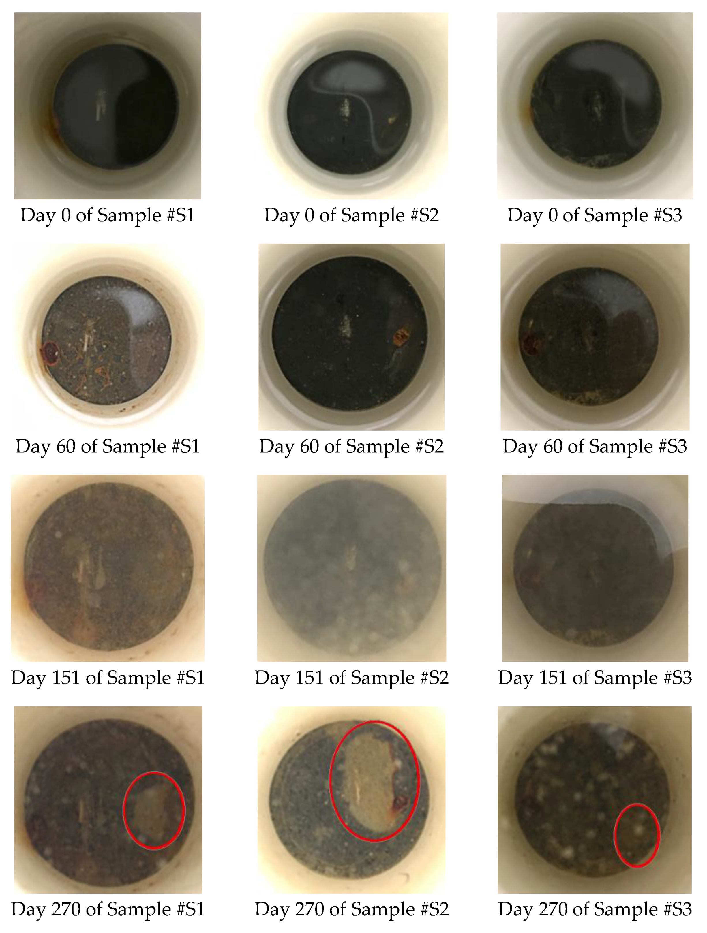 Coatings 09 00055 g007