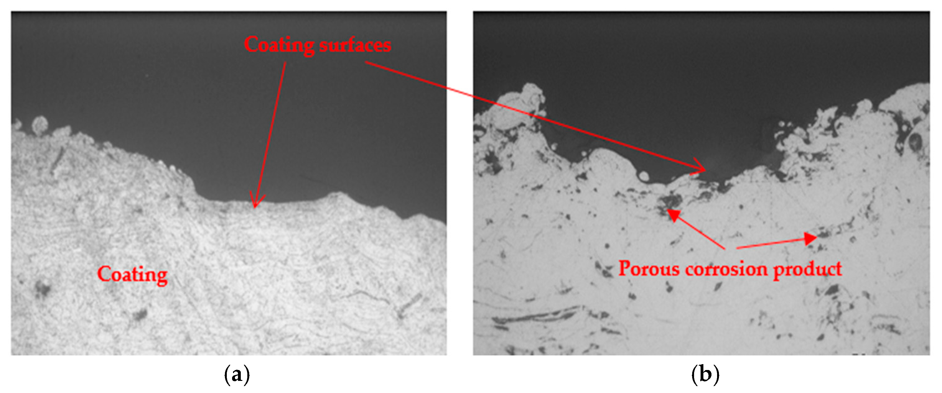 Coatings 09 00055 g013