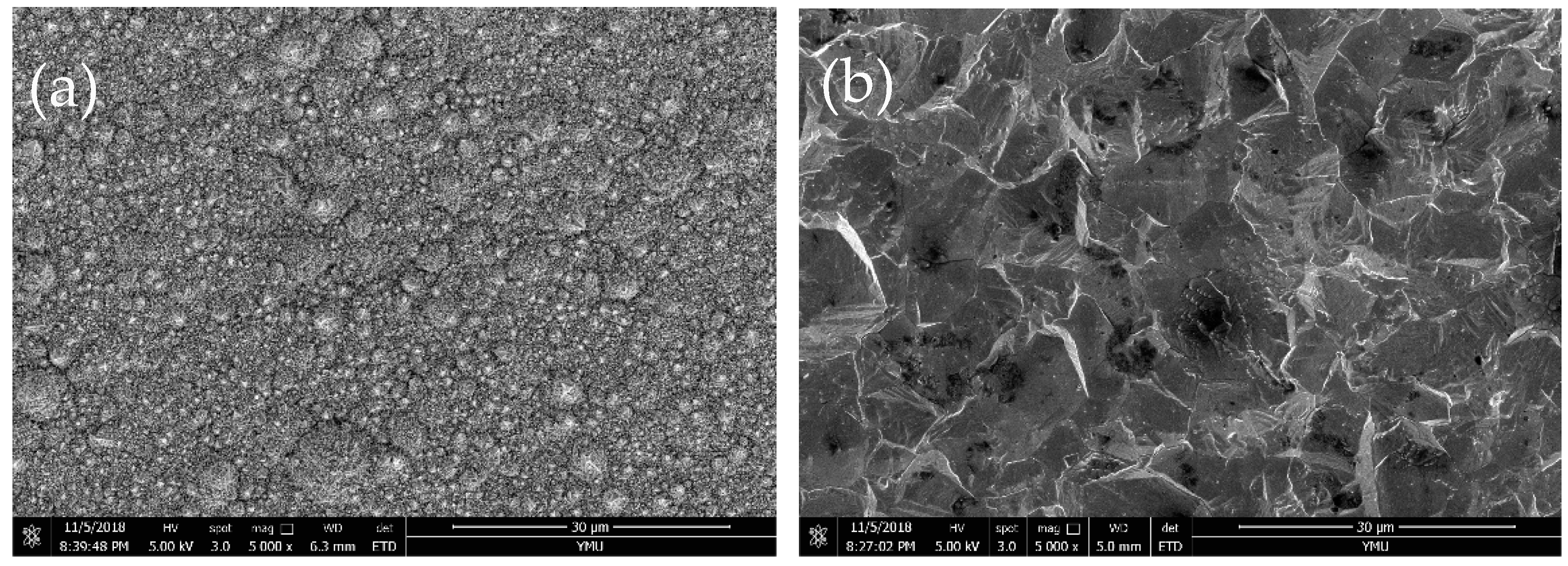 Coatings 09 00056 g007a