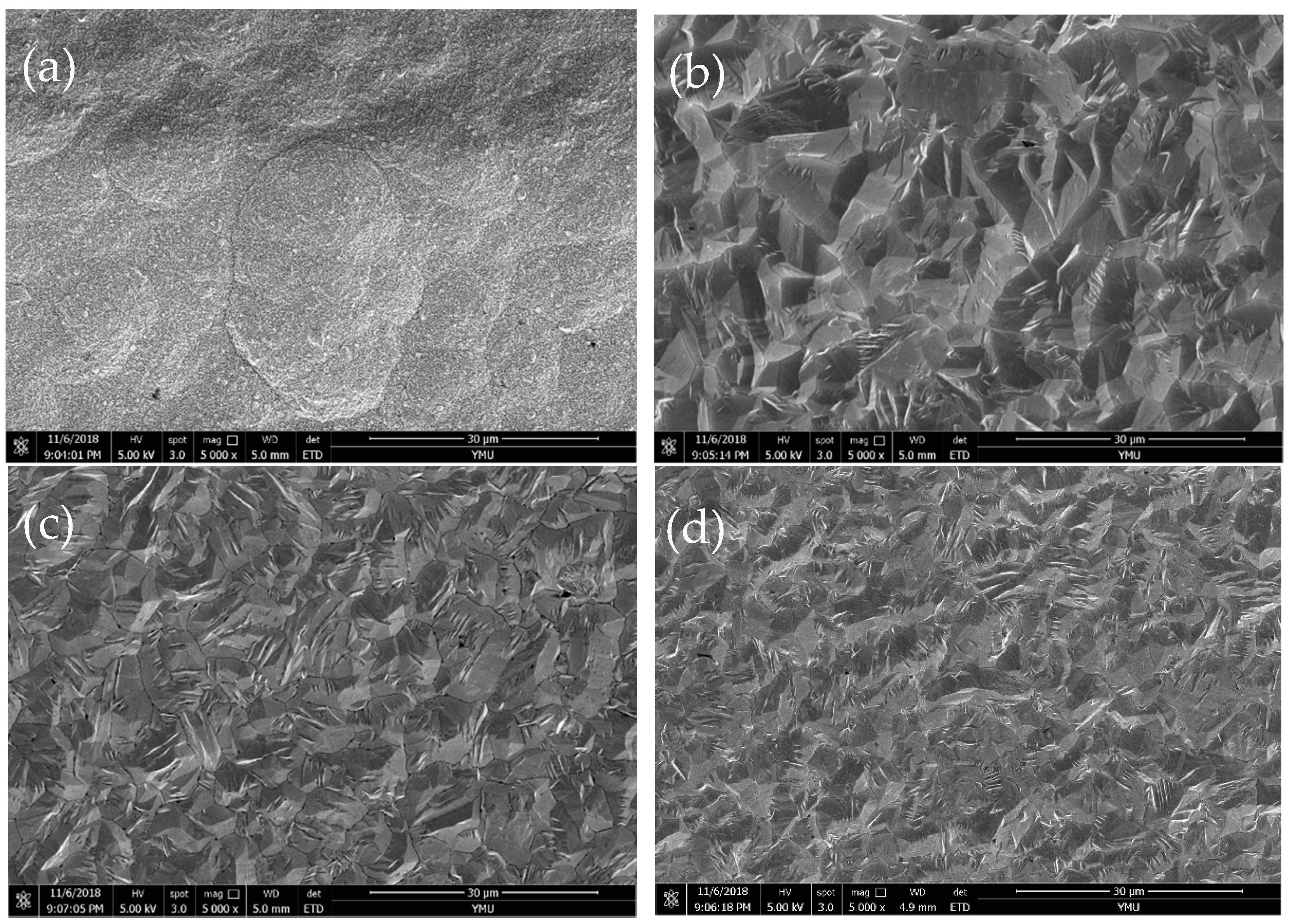 Coatings 09 00056 g008