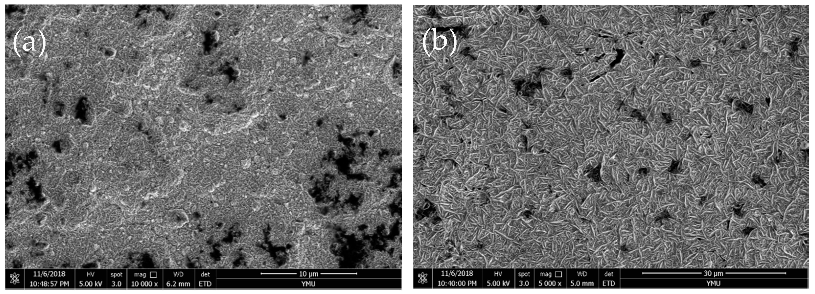 Coatings 09 00056 g009a
