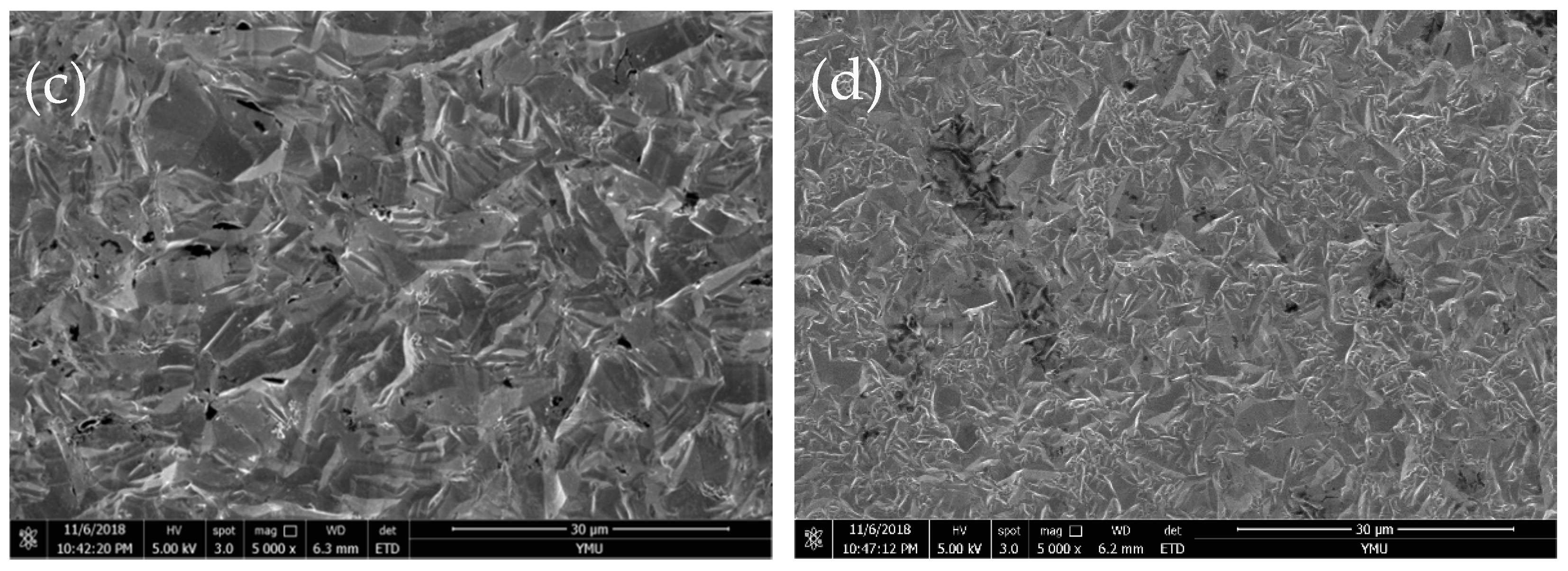 Coatings 09 00056 g009b