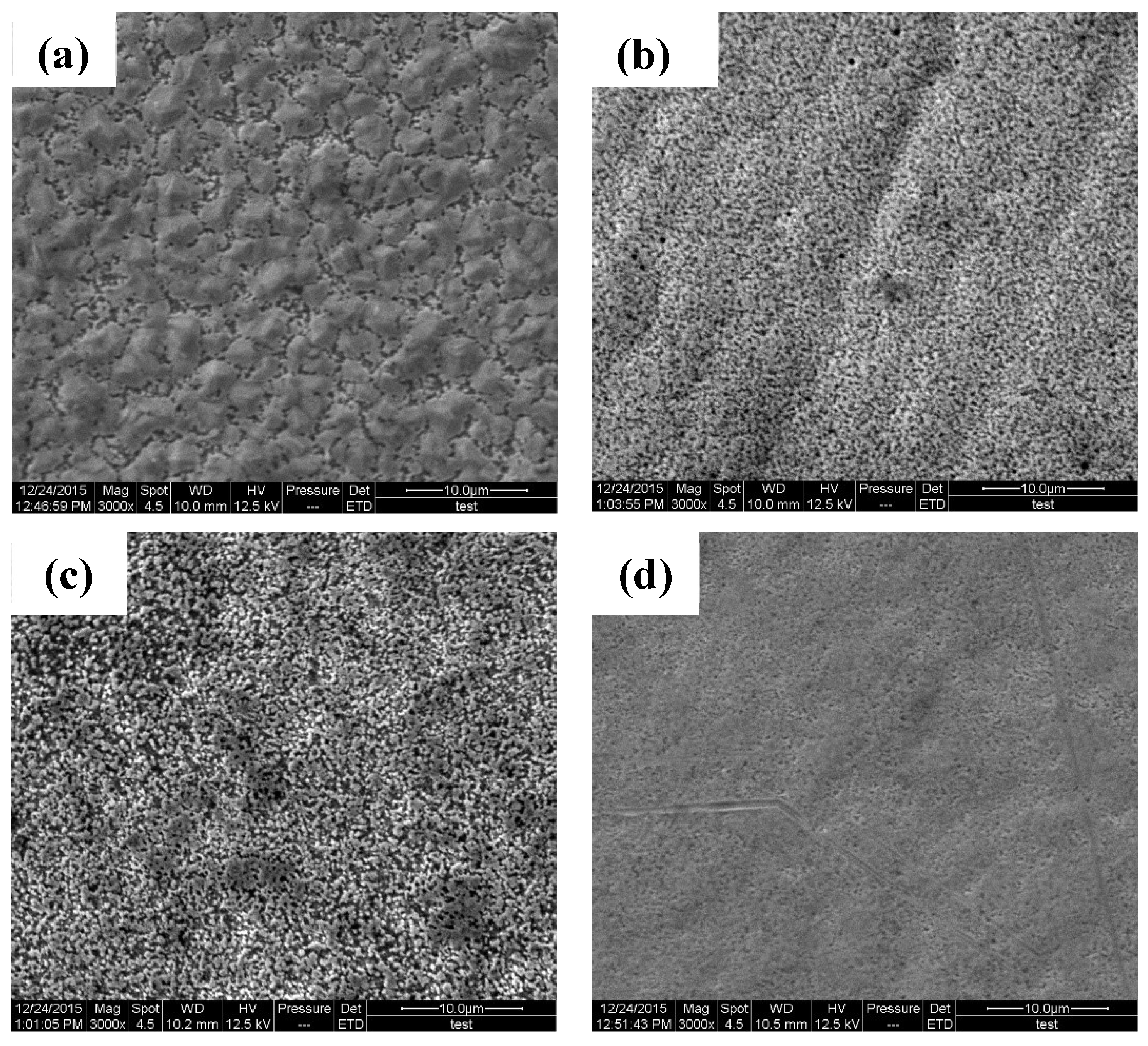 Coatings 09 00059 g007