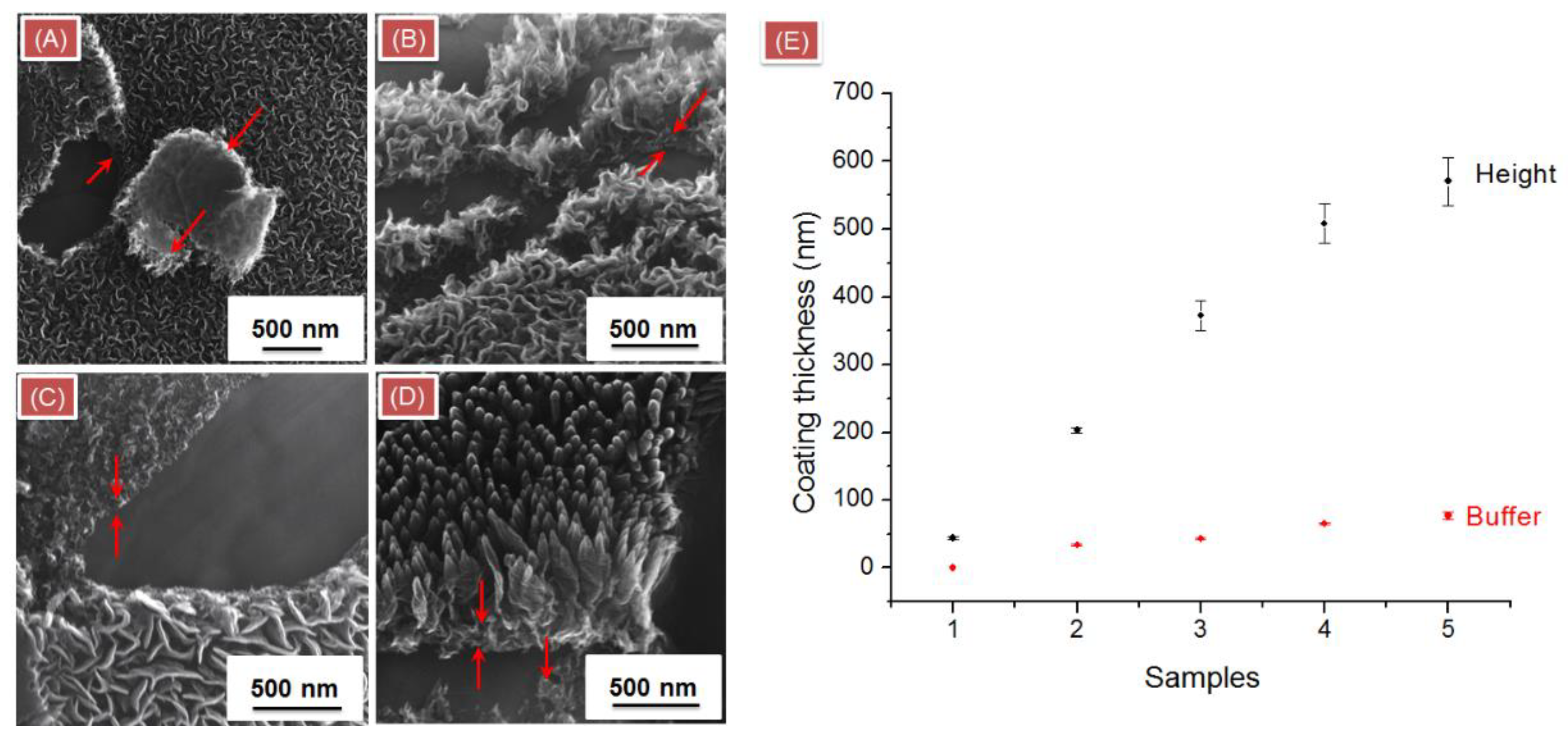 Coatings 09 00060 g0a3 Coatings 09 00060 g0a3