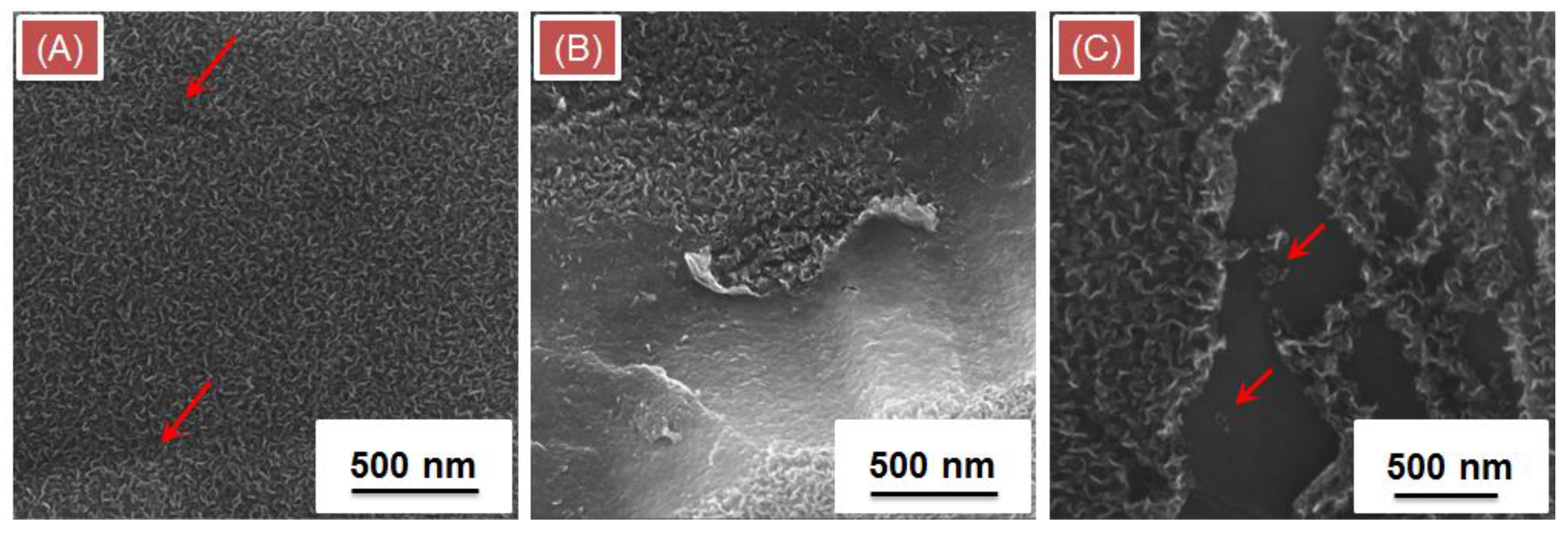 Coatings 09 00060 g0a4 Coatings 09 00060 g0a4